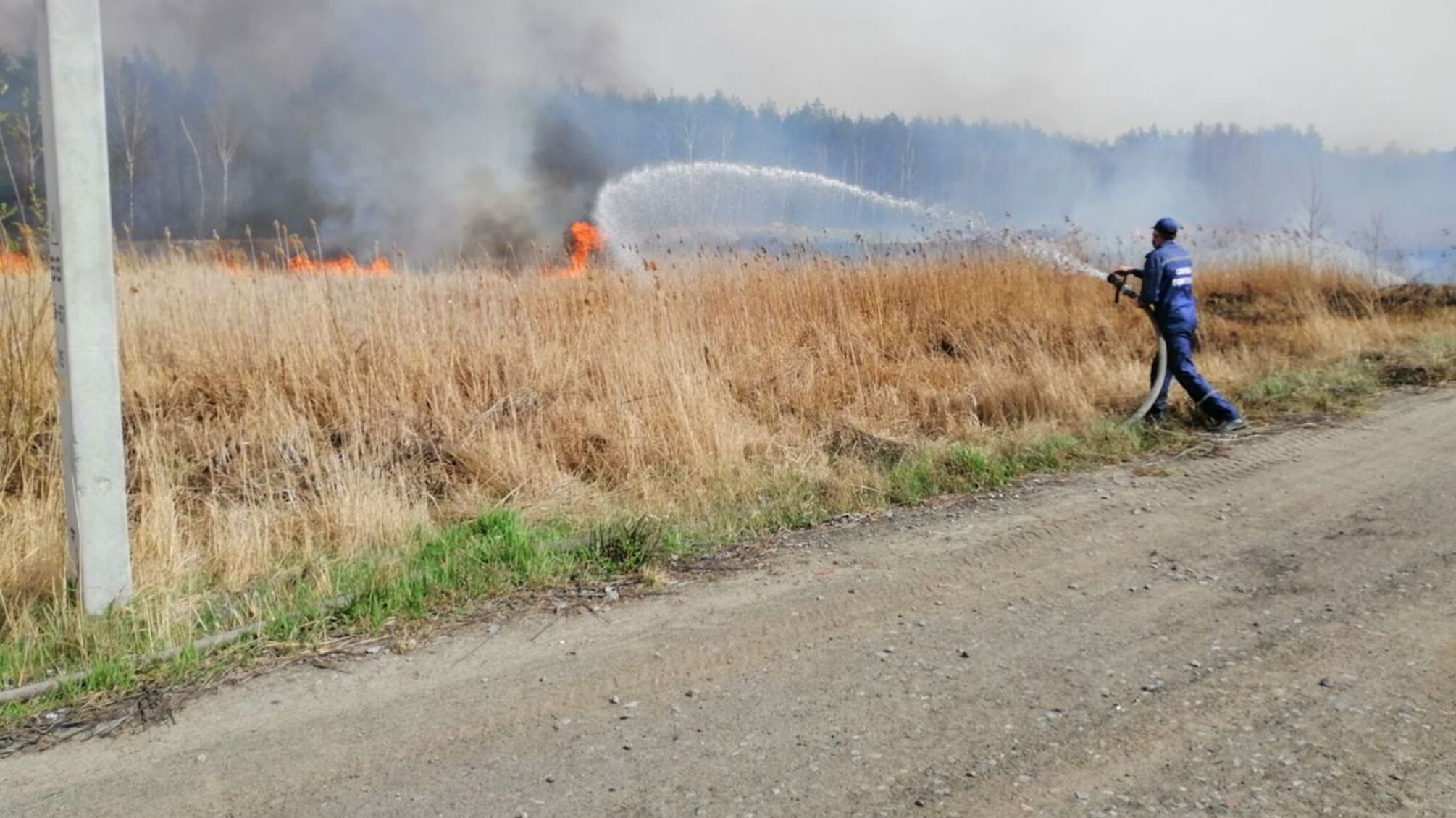 Київ: рятувальники ліквідували загоряння трав'яного настилу та очерету поблизу хутору Мриги (ВІДЕО)