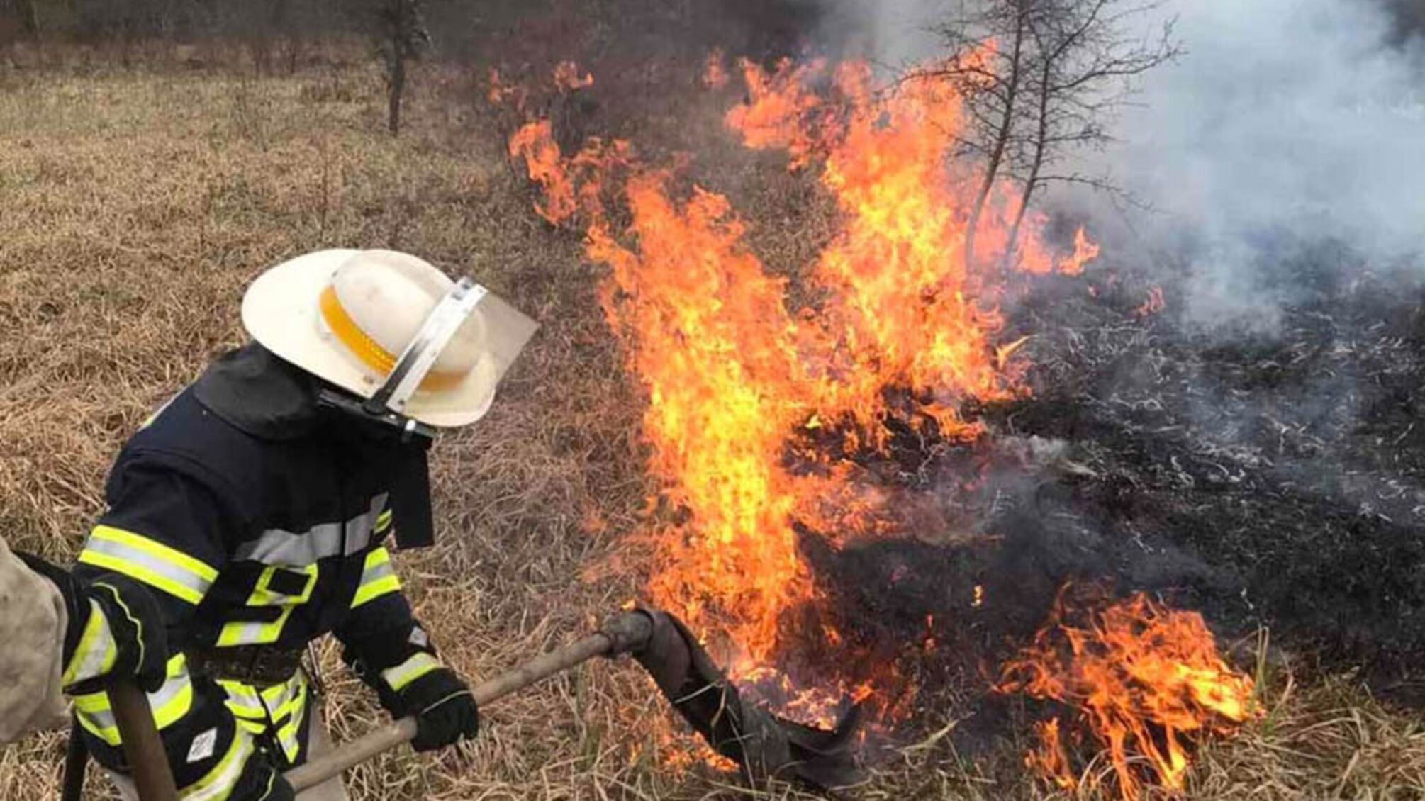 Дніпропетровська область: вогнеборці ліквідували загоряння сухостою на площі 3,5 га