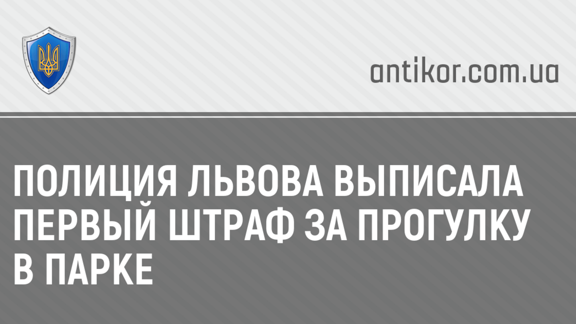 Полиция Львова выписала первый штраф за прогулку в парке