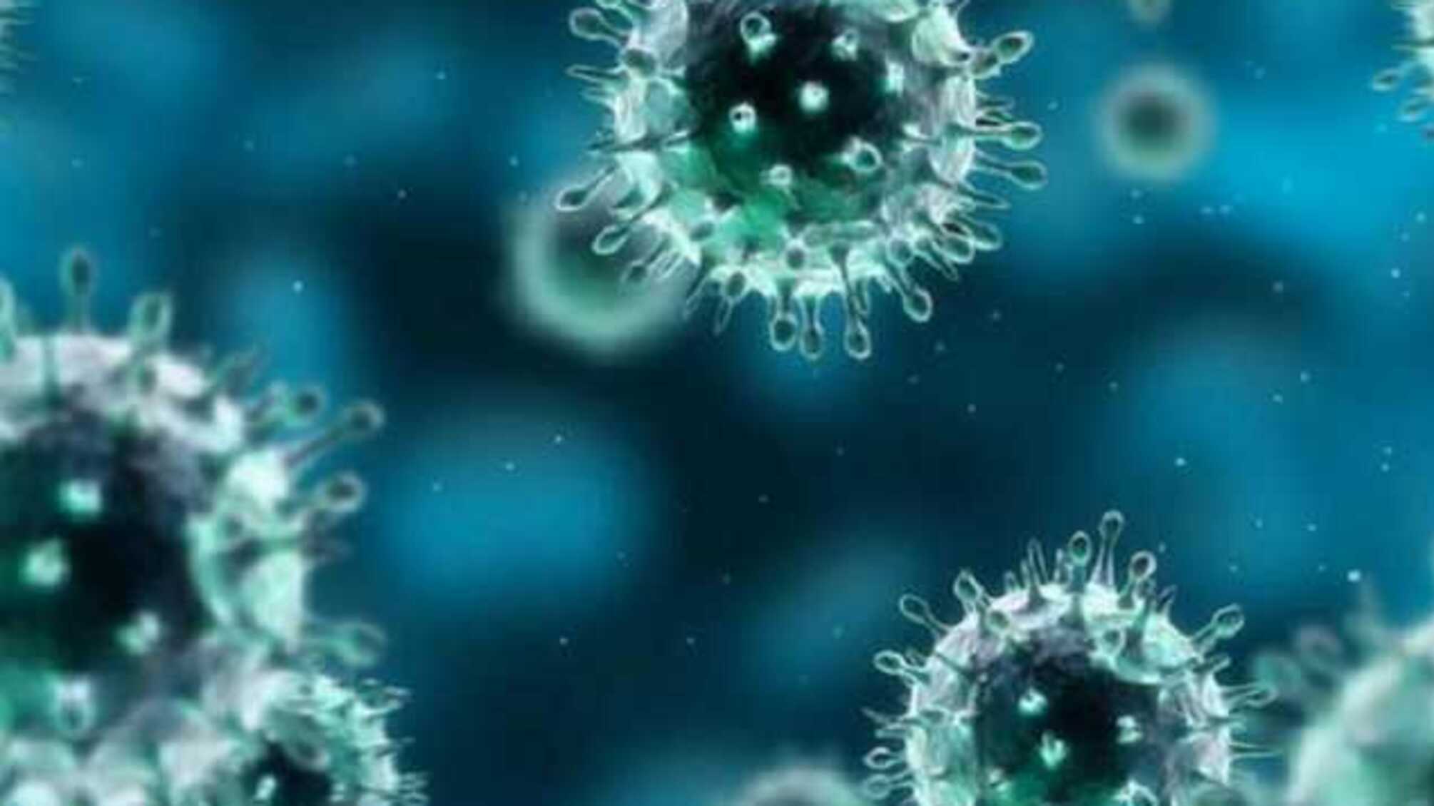 Осенью коронавирус нанесет более сильный удар, чем сейчас, — иммунолог