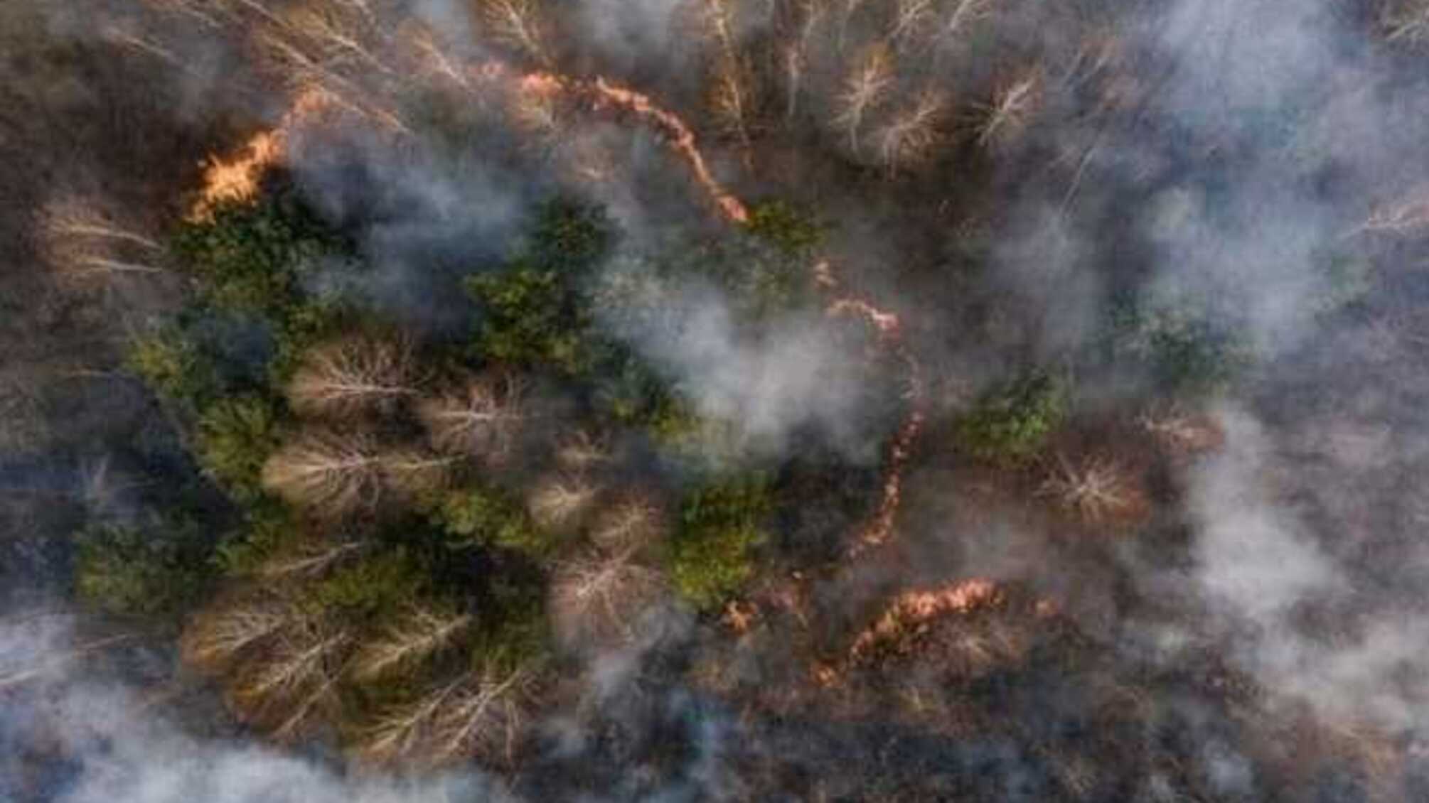 Je seis Чернобиль: в сети стартовал новый флешмоб