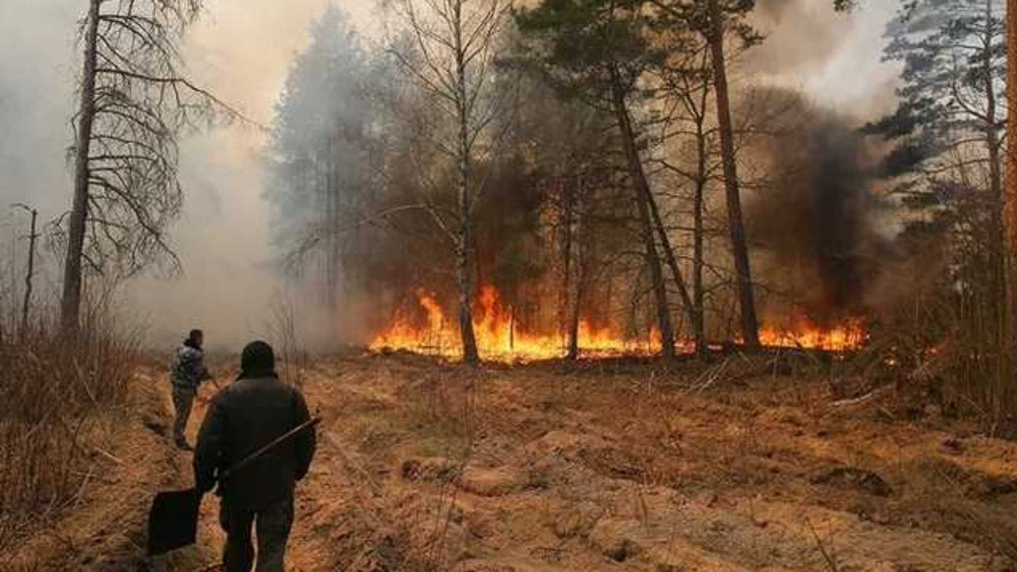 Вогонь з пожеж у Чорнобилі пішов у сторону Білорусі та Житомирщини