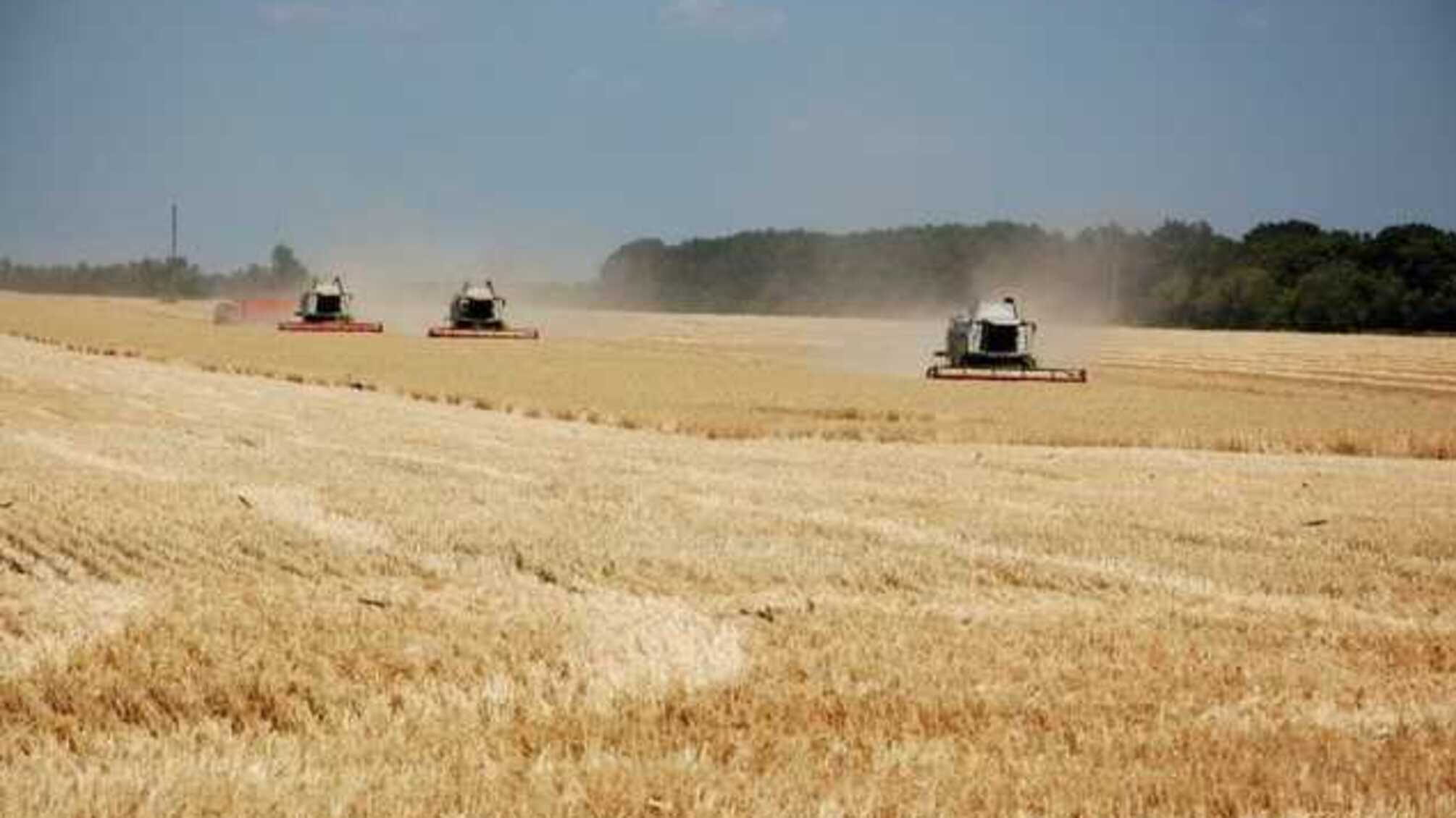 Рейдерські історії Кіровоградщини під “дахом” ОПЗЖ