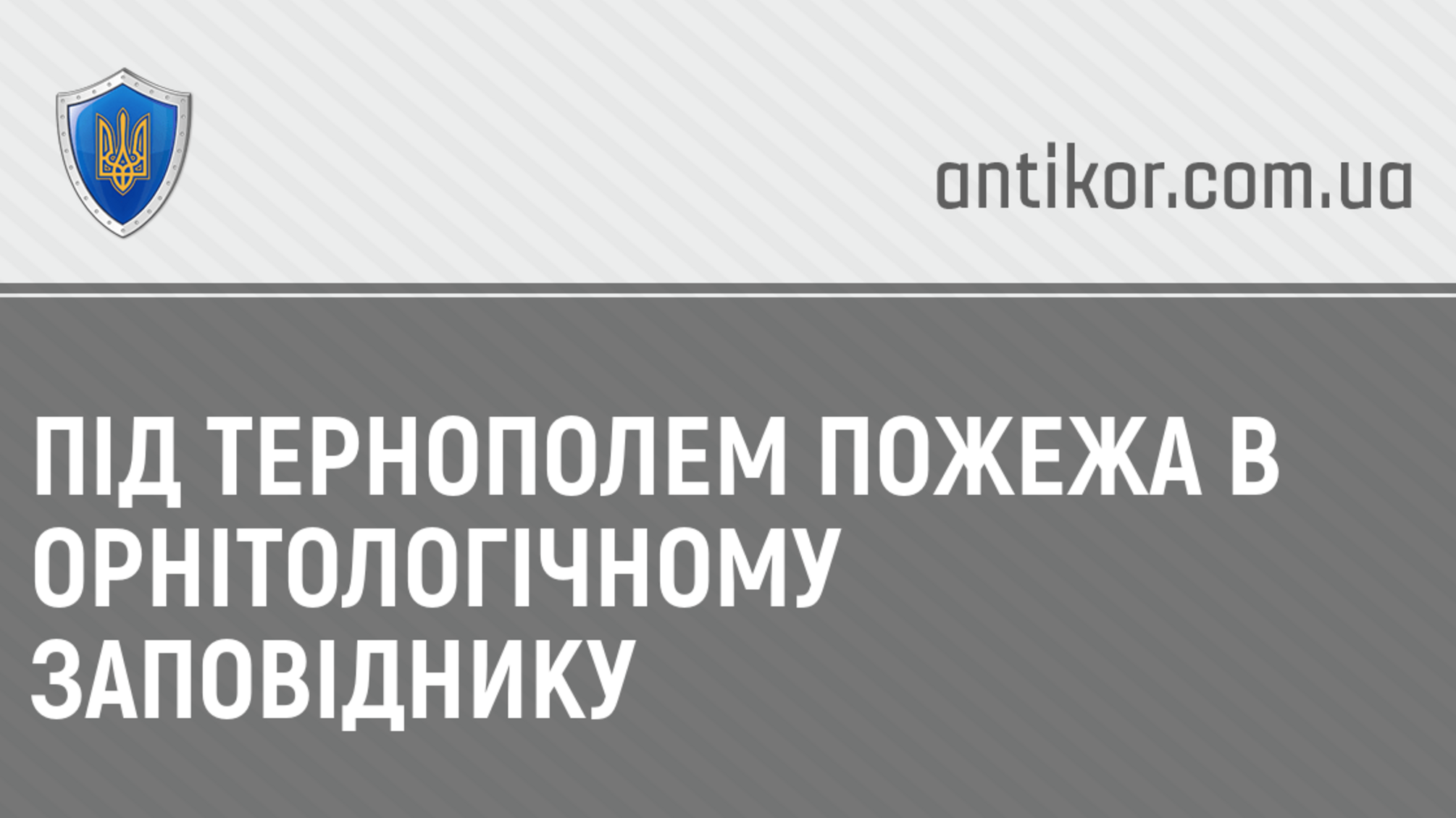 Під Тернополем пожежа в орнітологічному заповіднику