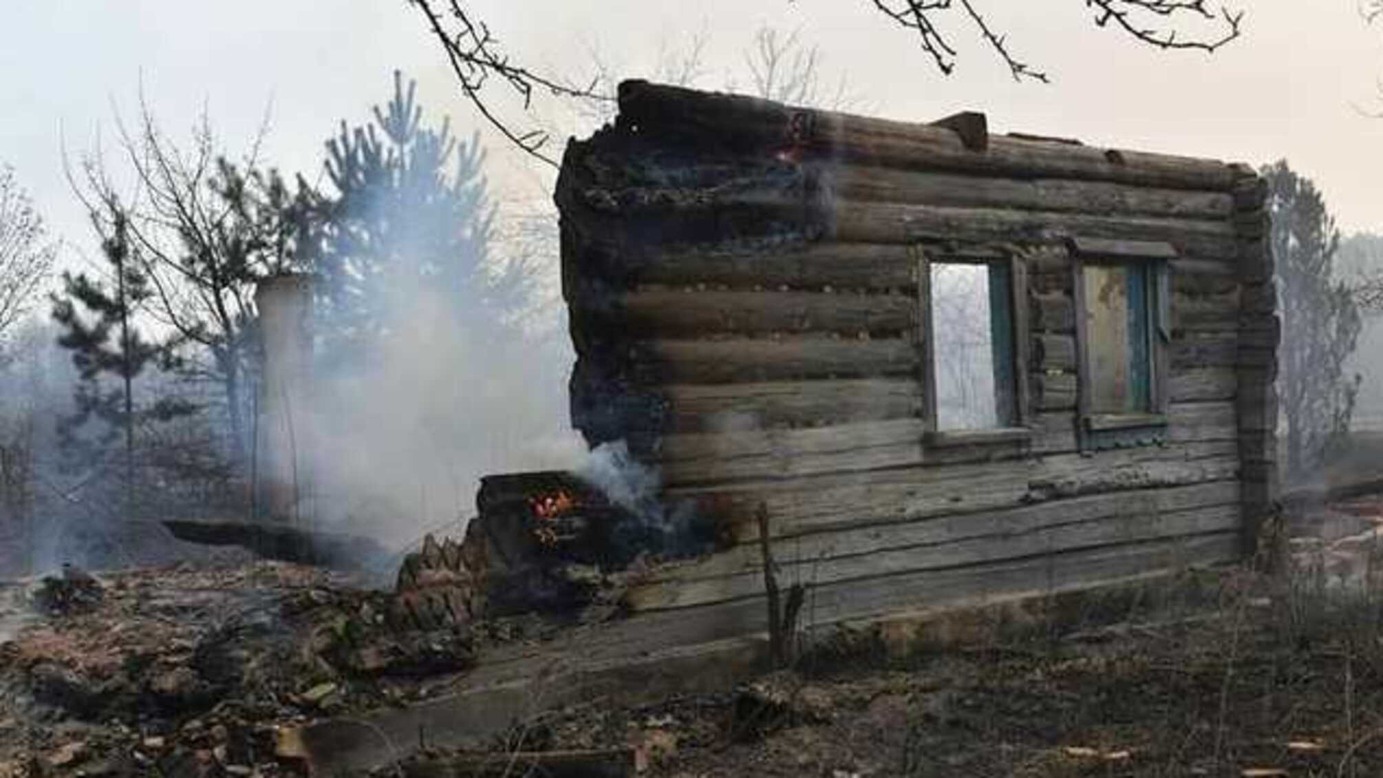 Пожар на Житомирщине: волонтер рассказала, как люди оказались в огненной ловушке
