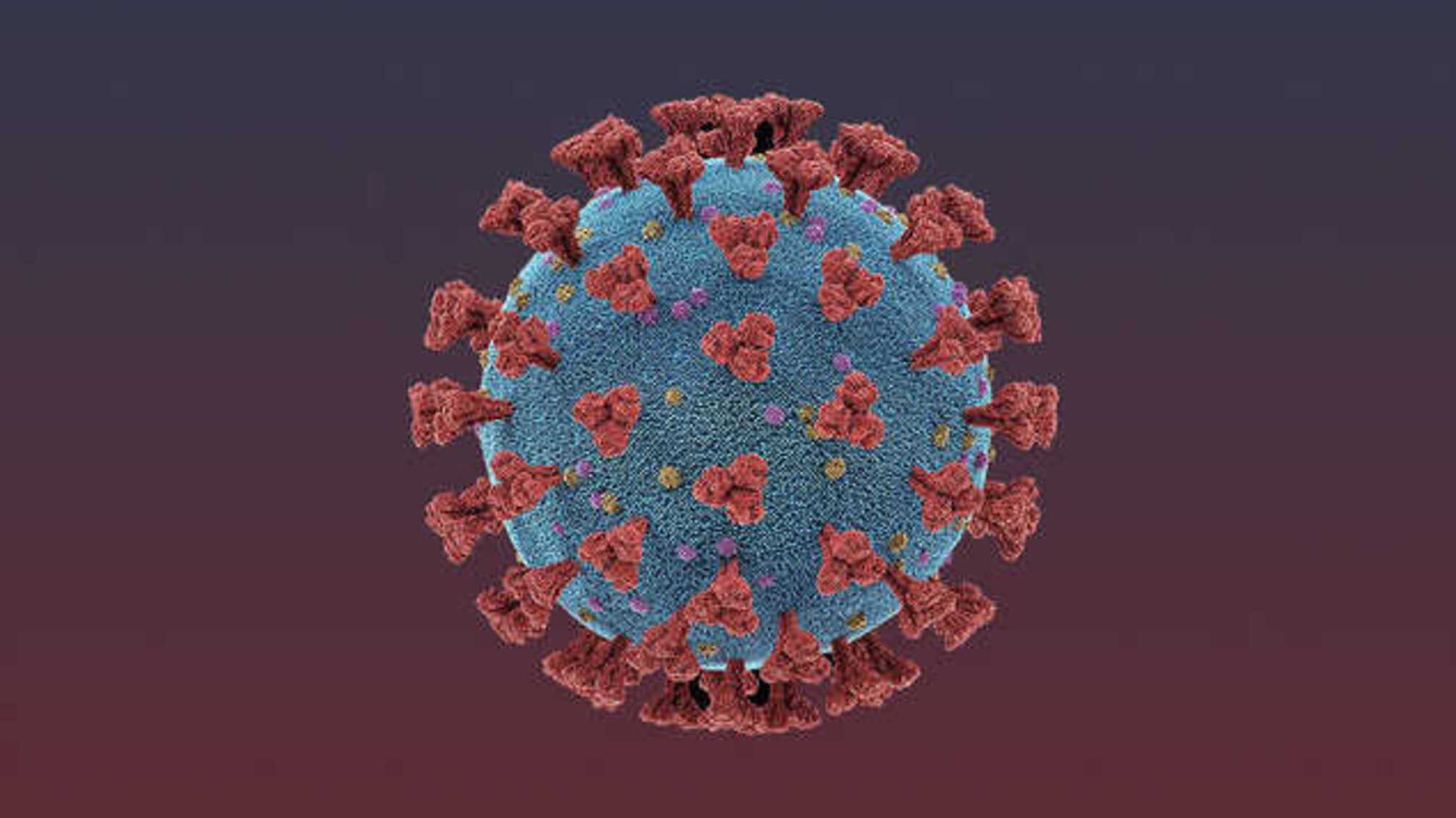 Карантин могут продлить до лета: на Буковине новый антирекорд случаев COVID-19