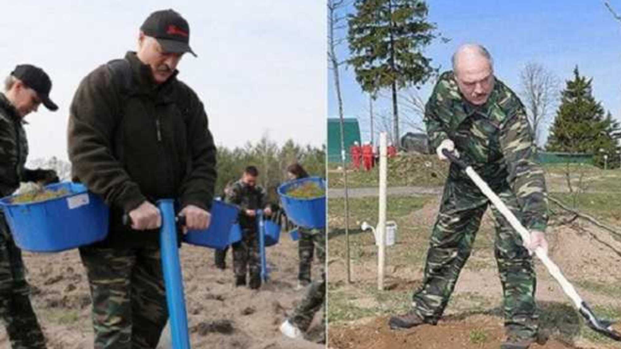 Действия Лукашенко в разгар пандемии COVID-19 озадачили сеть