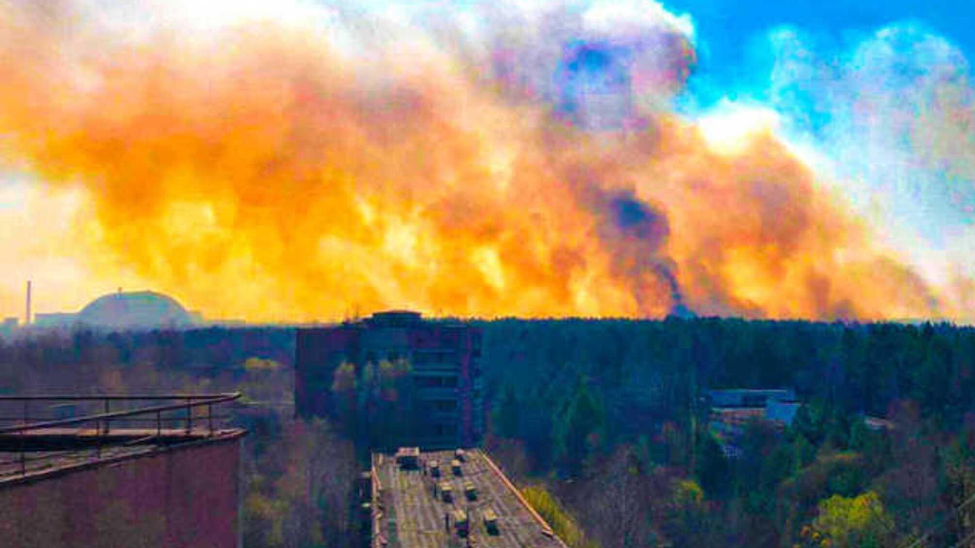 Директор Чернобыльского заповедника рассказал, какой вред нанесли пожары