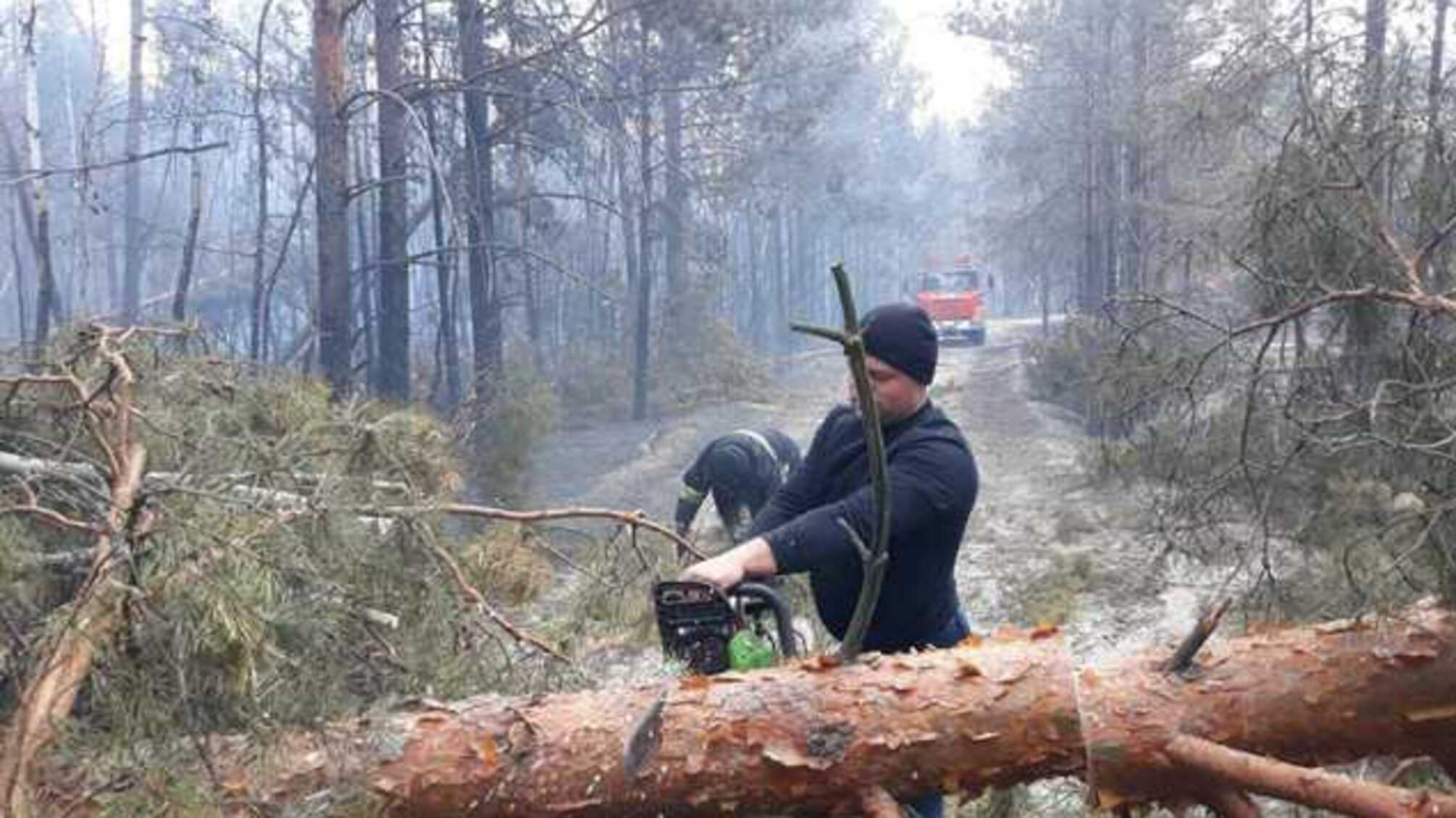 Несмотря на дожди в субботу, в Житомирской области все еще продолжают тушить пожары