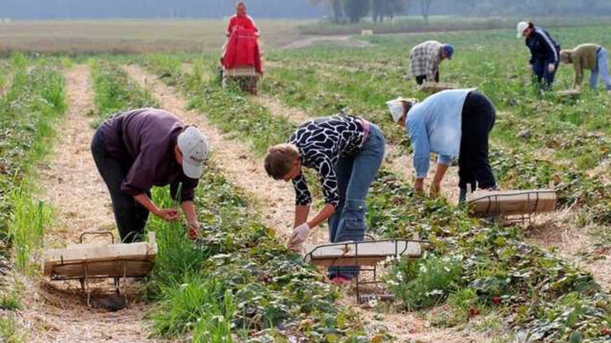 Уряд заборонив українцям виїжджати на заробітки за кордон