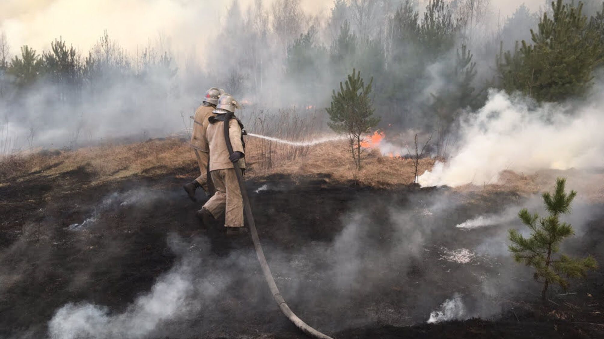Житомирська область: пожежа на території трьох лісництв Народицького спецлісгоспу ліквідована