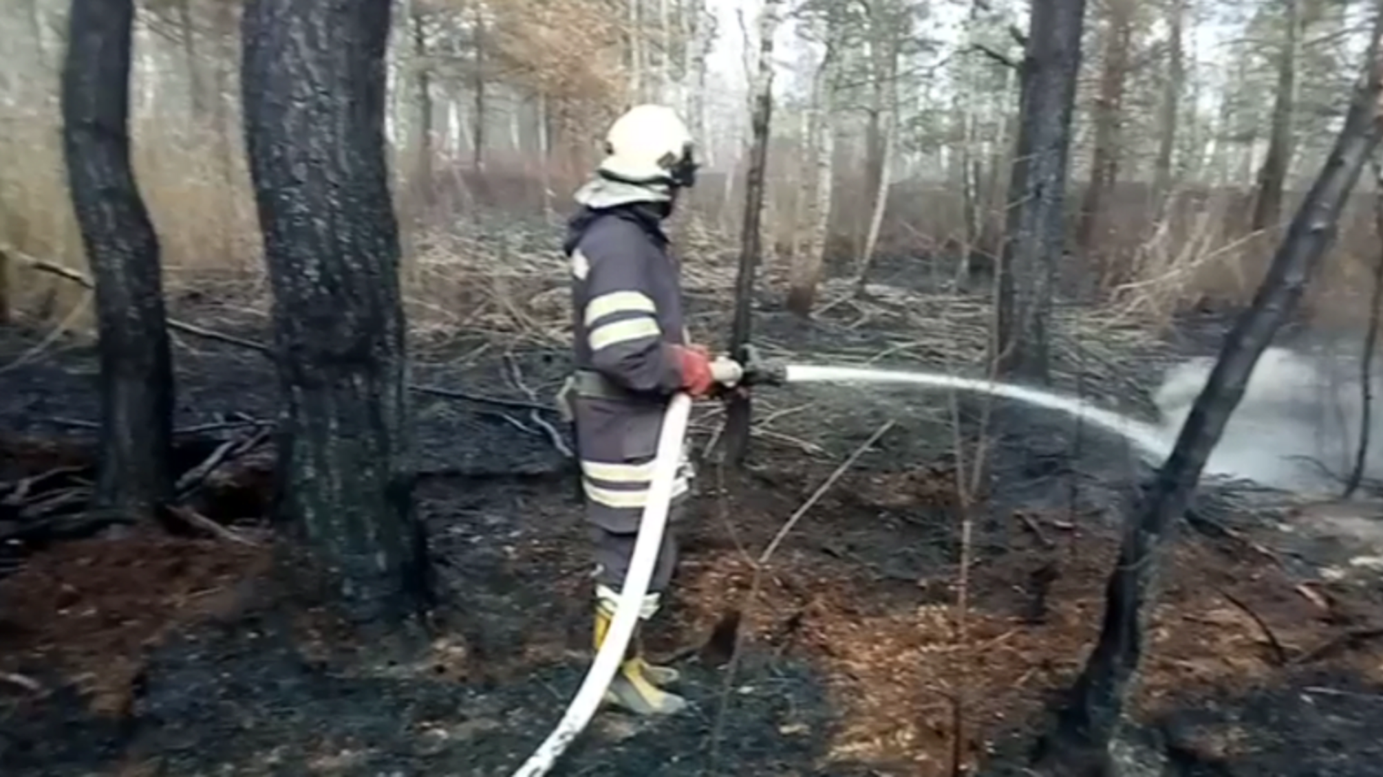 Хмельниччина: вогнеборці ліквідували лісову пожежу на площі 4.6 га