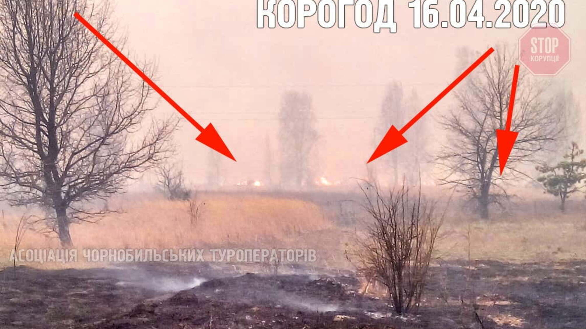 У Чорнобильскій зоні знову горить ліс (фото)