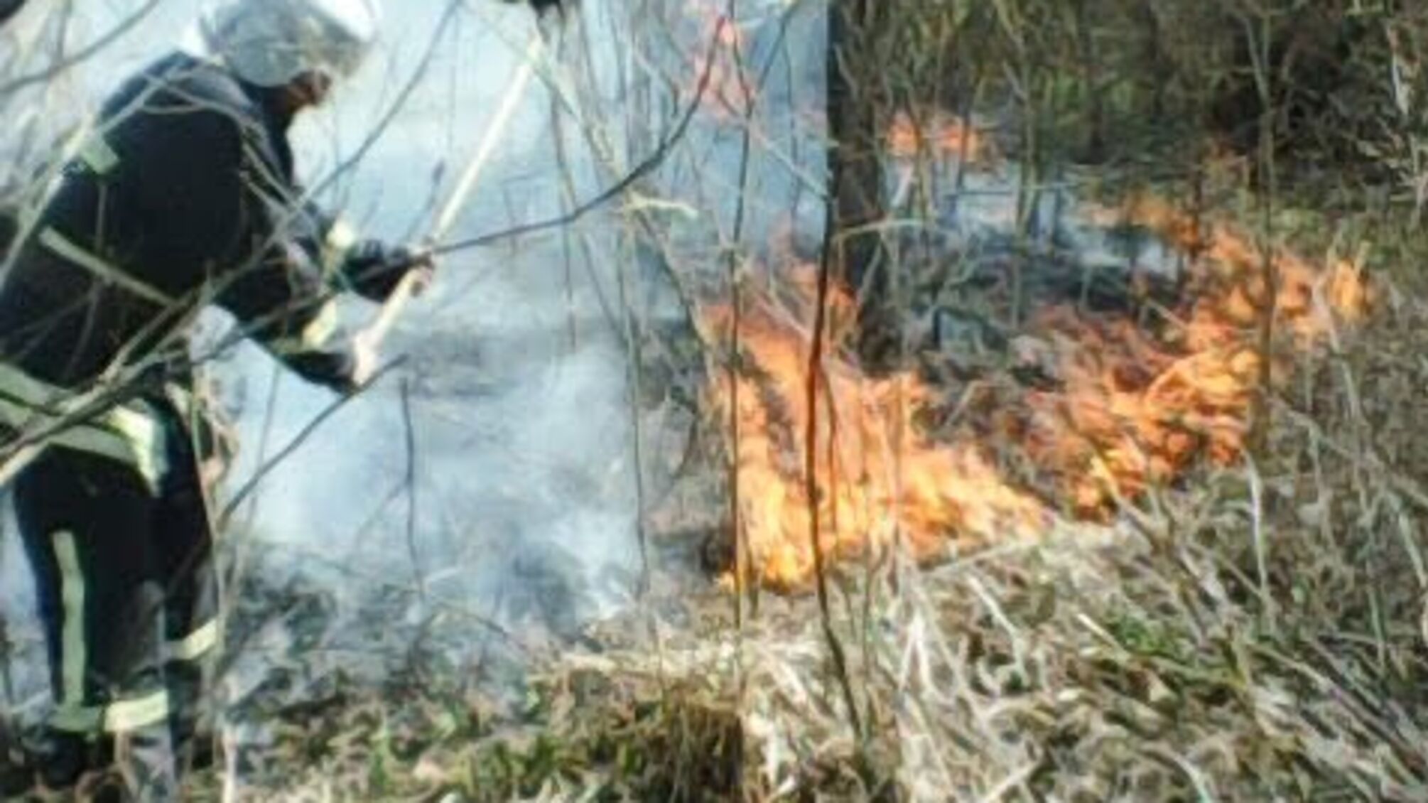 На Вінниччині за добу ліквідовано 12 пожеж сухої рослинності