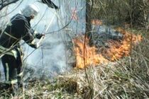 На Вінниччині за добу ліквідовано 12 пожеж сухої рослинності