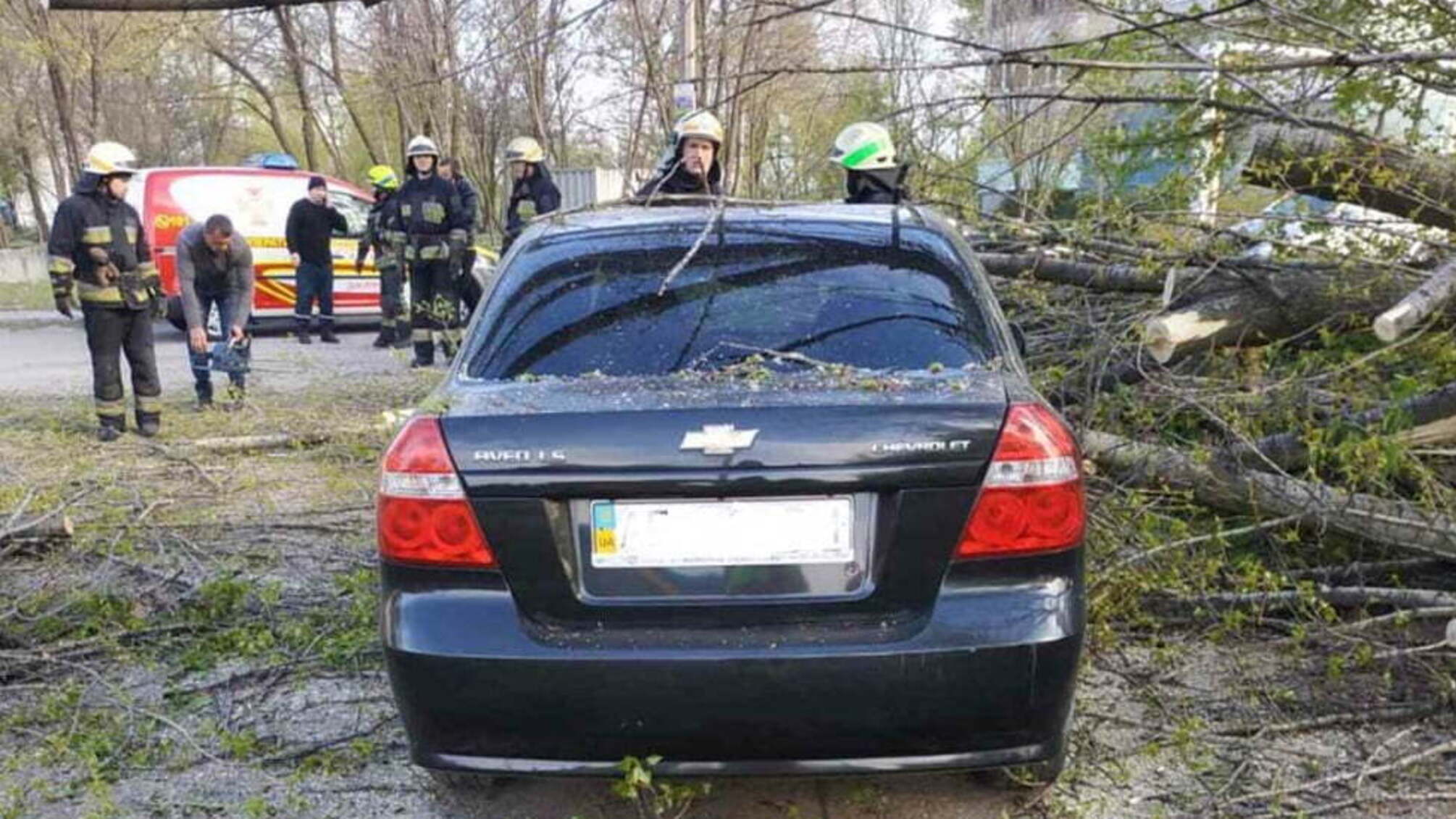 м. Дніпро: надзвичайники прибрали дерево, яке впало на легкові автомобілі