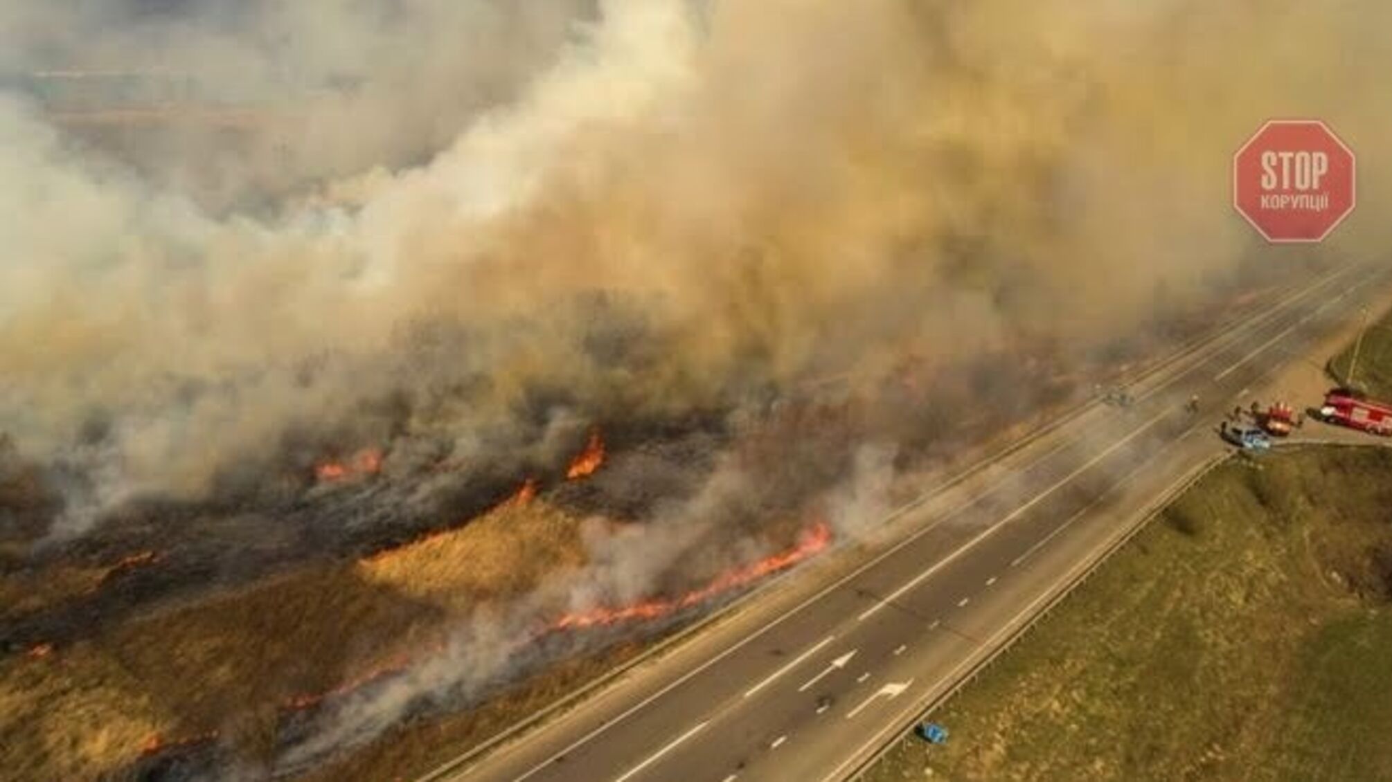 Штраф чи в‘язниця: що буде з паліями Чорнобильського лісу