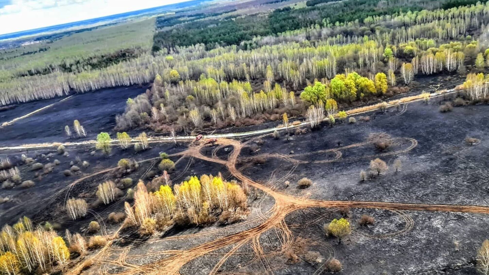 'Хвилю пожеж збито' - Аваков про ситуацію у Чорнобилі (фото)