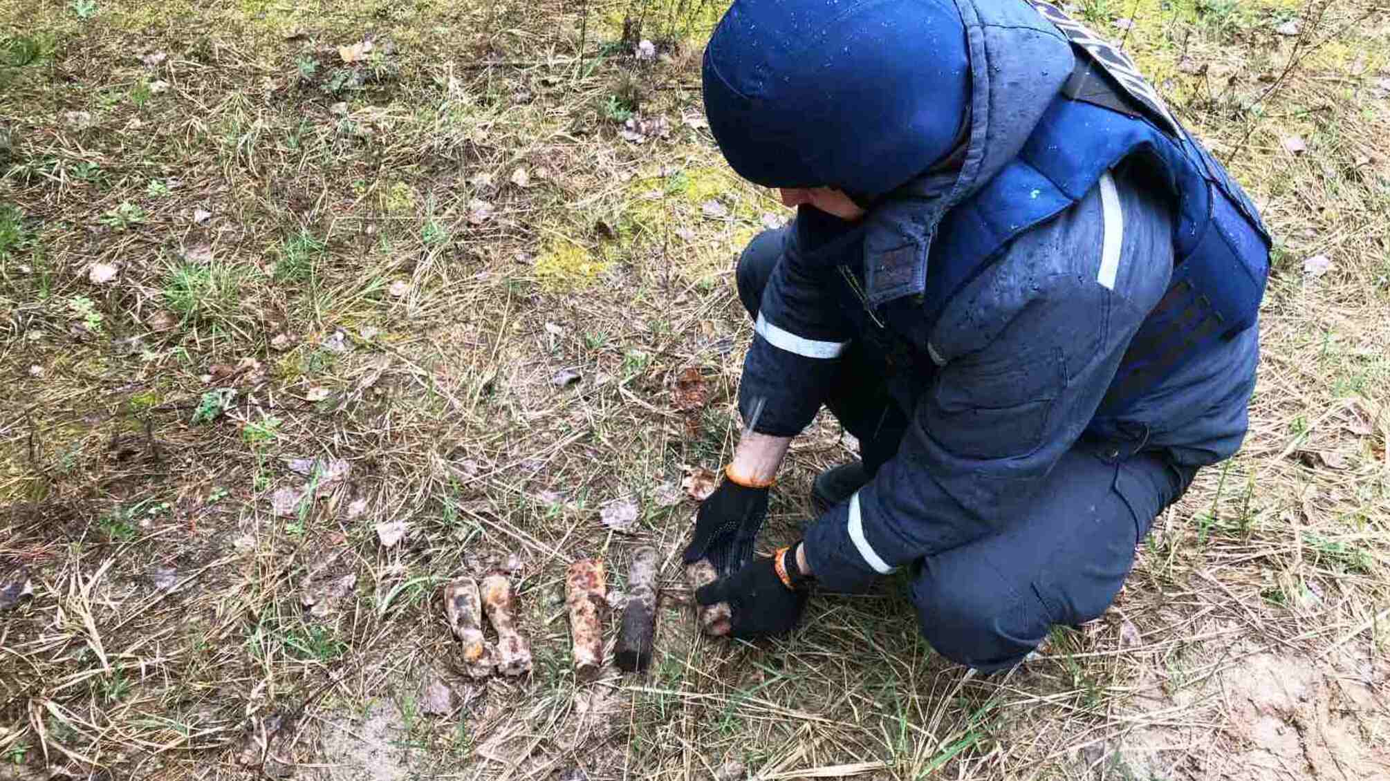 Чернігівська область: піротехніки ДСНС знищили 5 вибухонебезпечних предметів
