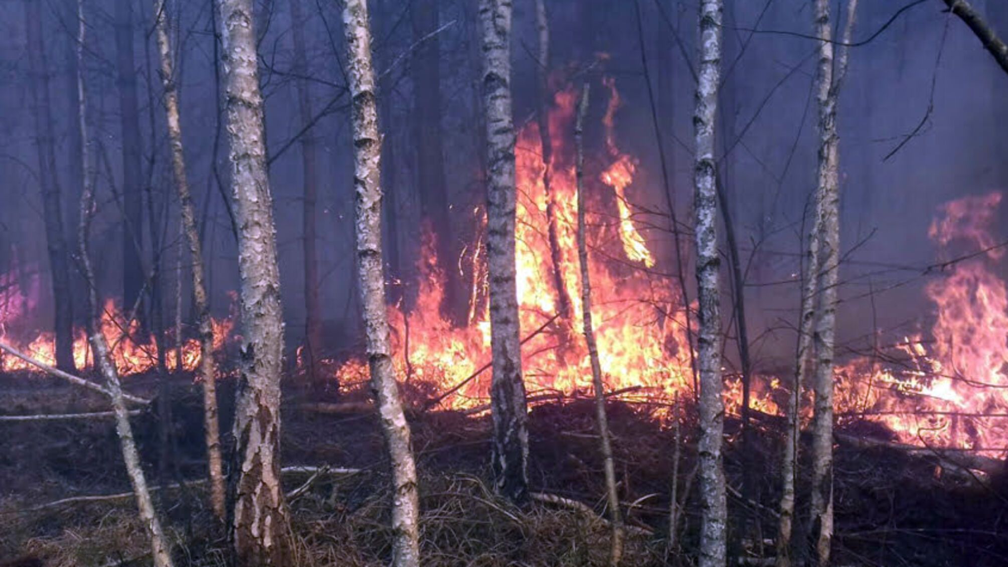 На Хмельниччині не вщухають пожежі в екосистемах. На місці однієї з них виявлено тіло жінки без ознак життя