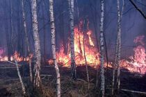 На Хмельниччині не вщухають пожежі в екосистемах. На місці однієї з них виявлено тіло жінки без ознак життя
