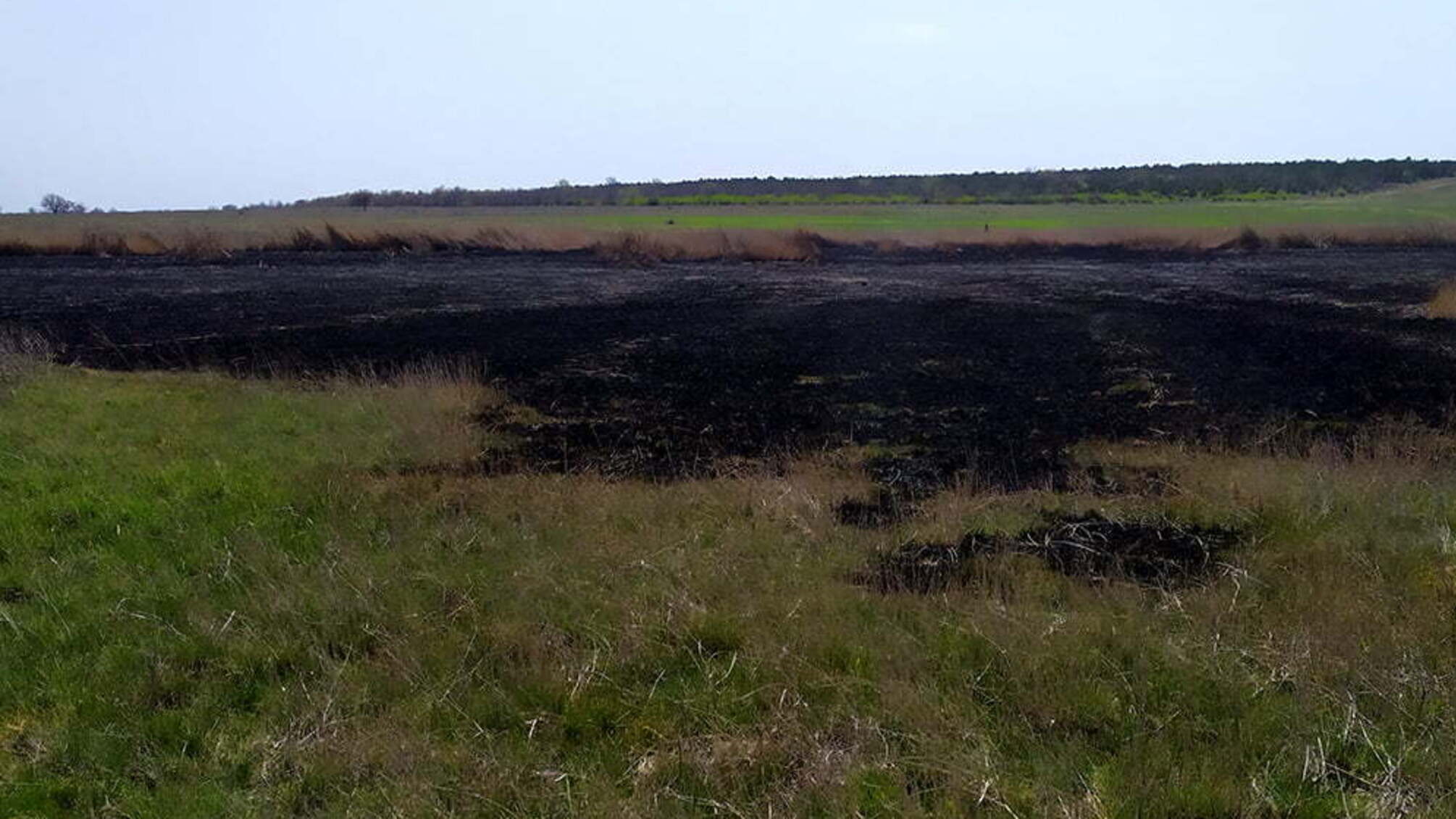 4 пожежі на відкритих територіях Миколаївщини площею понад 7 га – наслідки доби