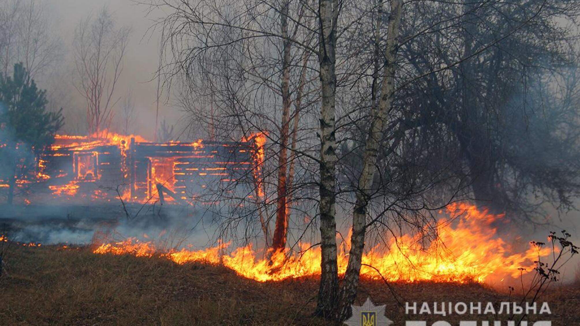 Поліція Житомирщини розслідує причини пожеж у лісах області