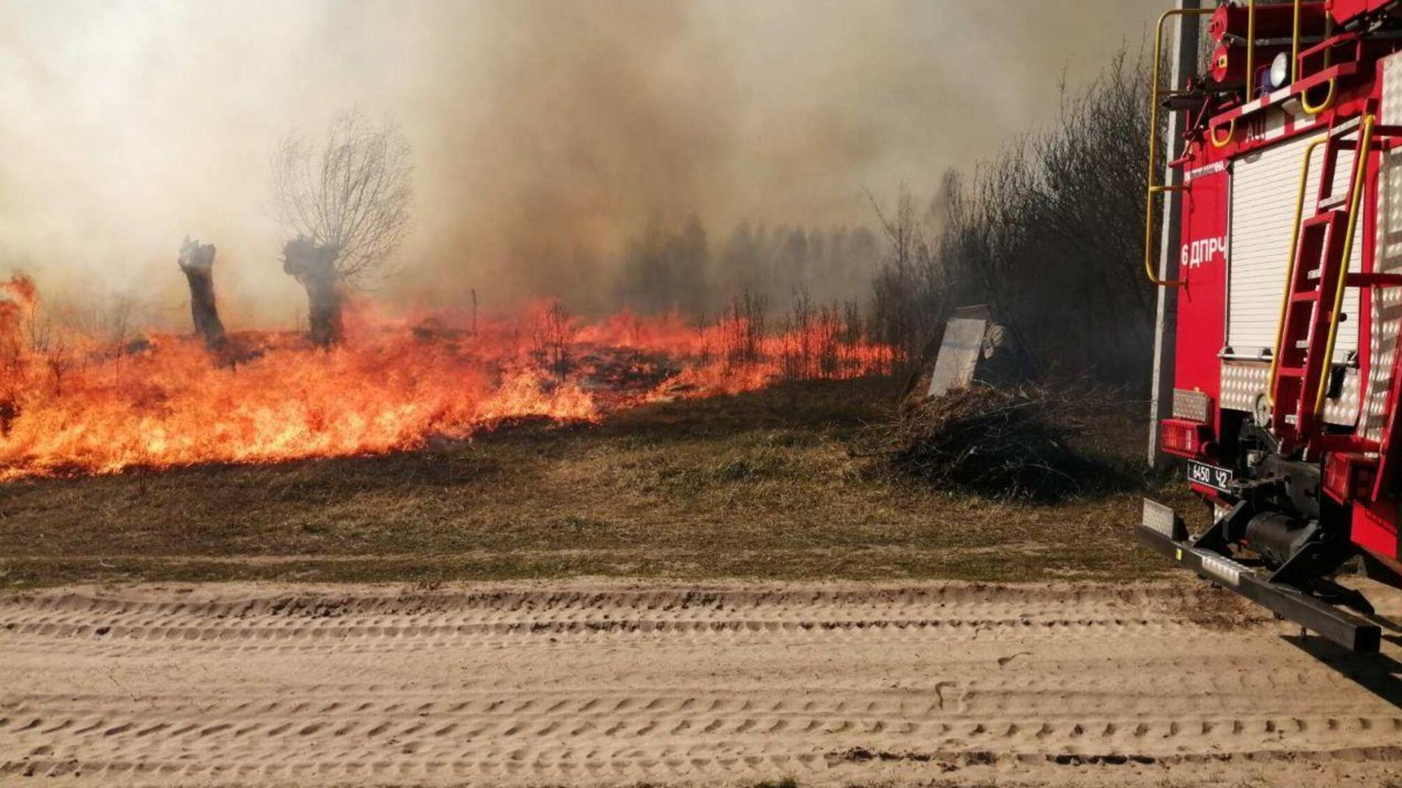 На Чернігівщині вогнеборці ліквідували 43 пожежі у екосистемах