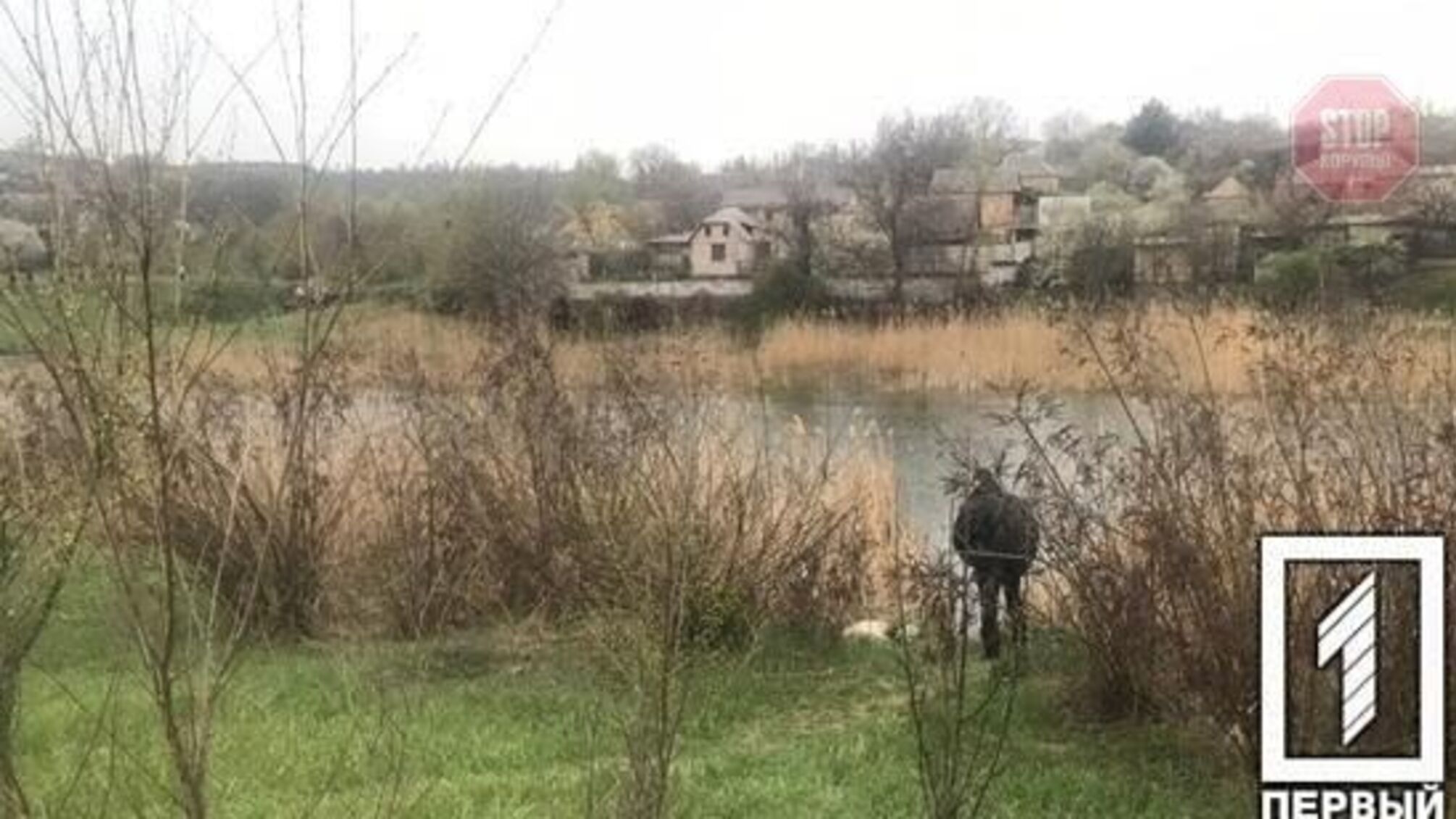 Без рук та ніг: у Кривому Розі знайшли розчленоване тіло жінки