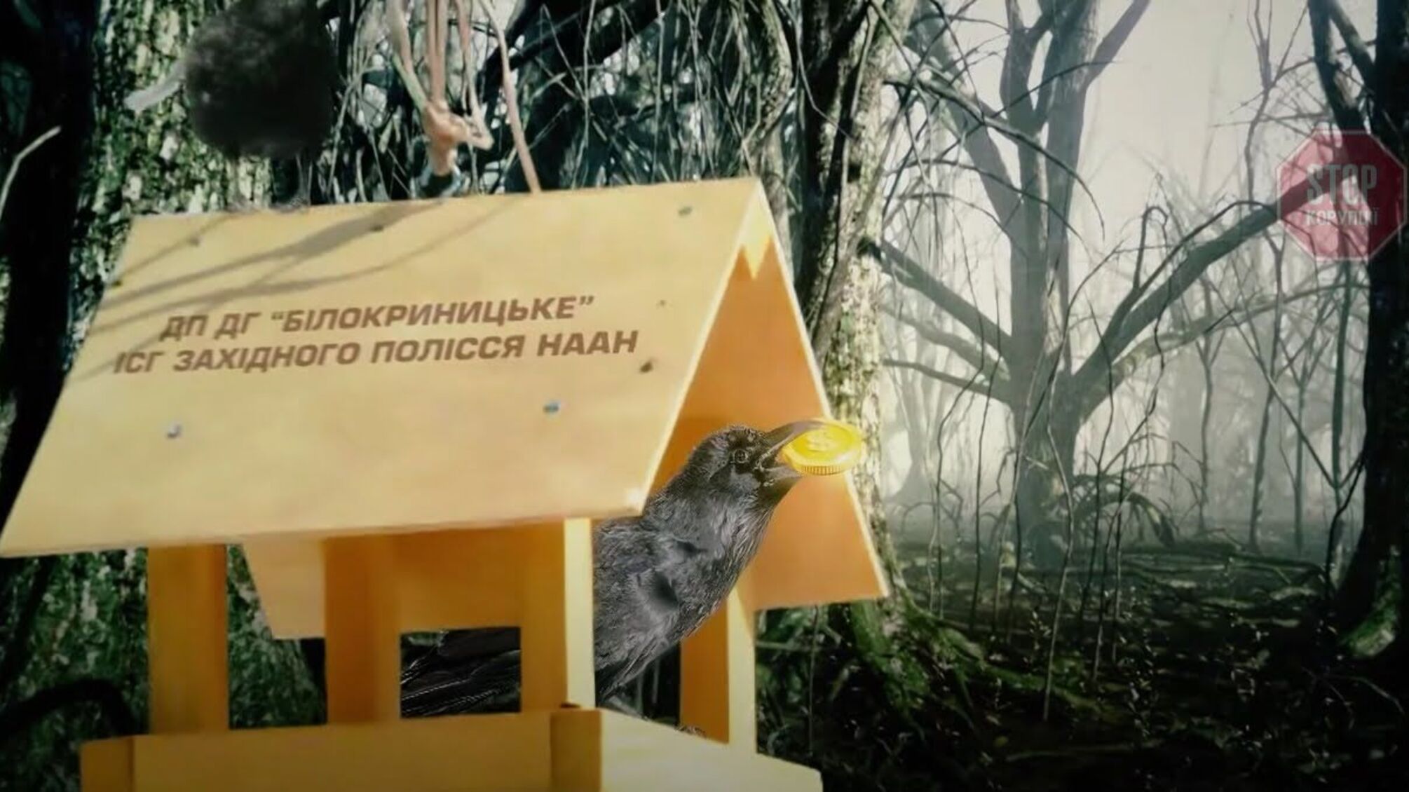 Діра в десятки мільйонів: на Рівненщині державну агрокомпанію умисно довели до банкрутства
