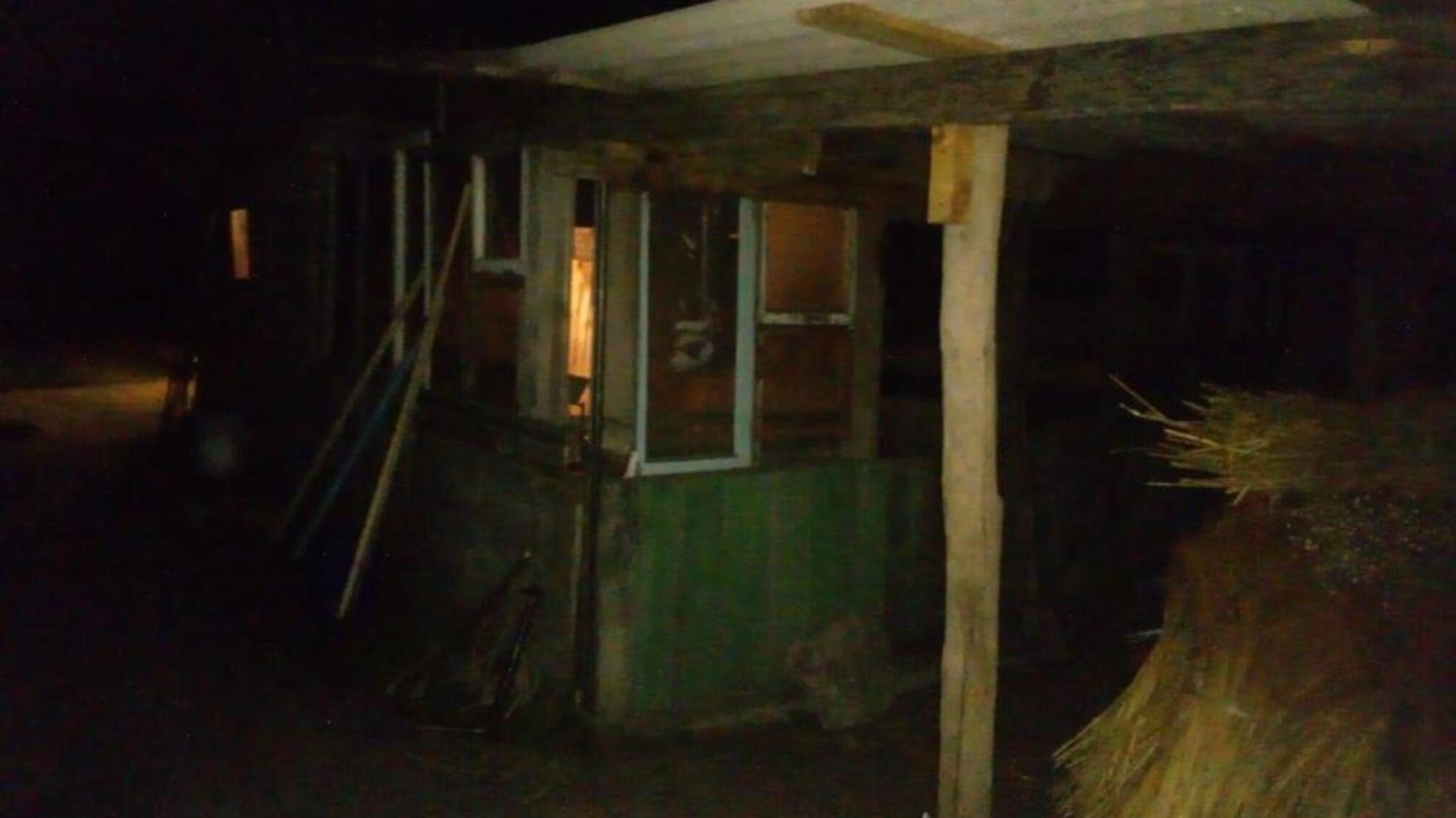 Правоохоронці притягують до відповідальності двох молодиків, які викрали поросят у жительки Саврані