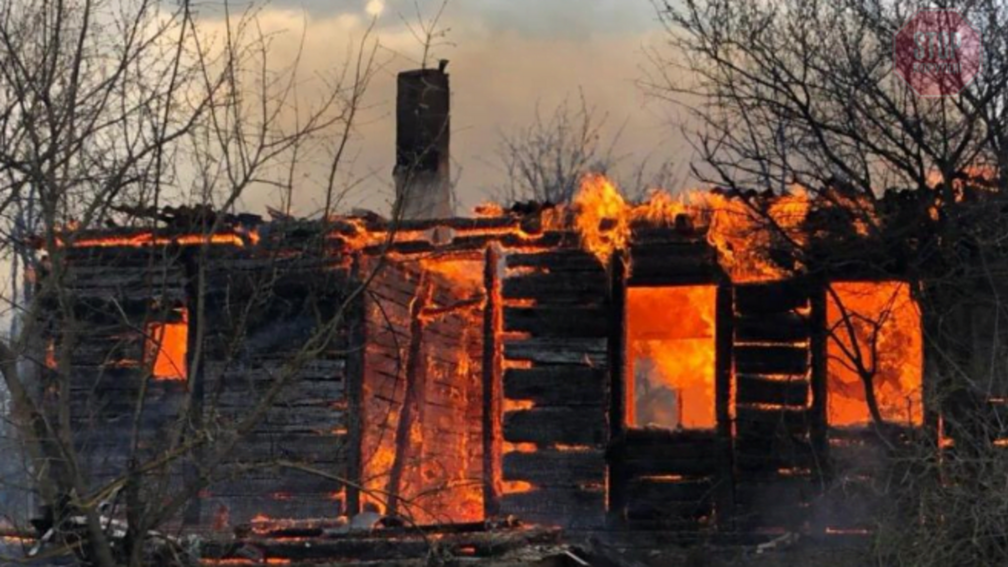 Пожежі на Житомирщині завдали багатомільйонних збитків