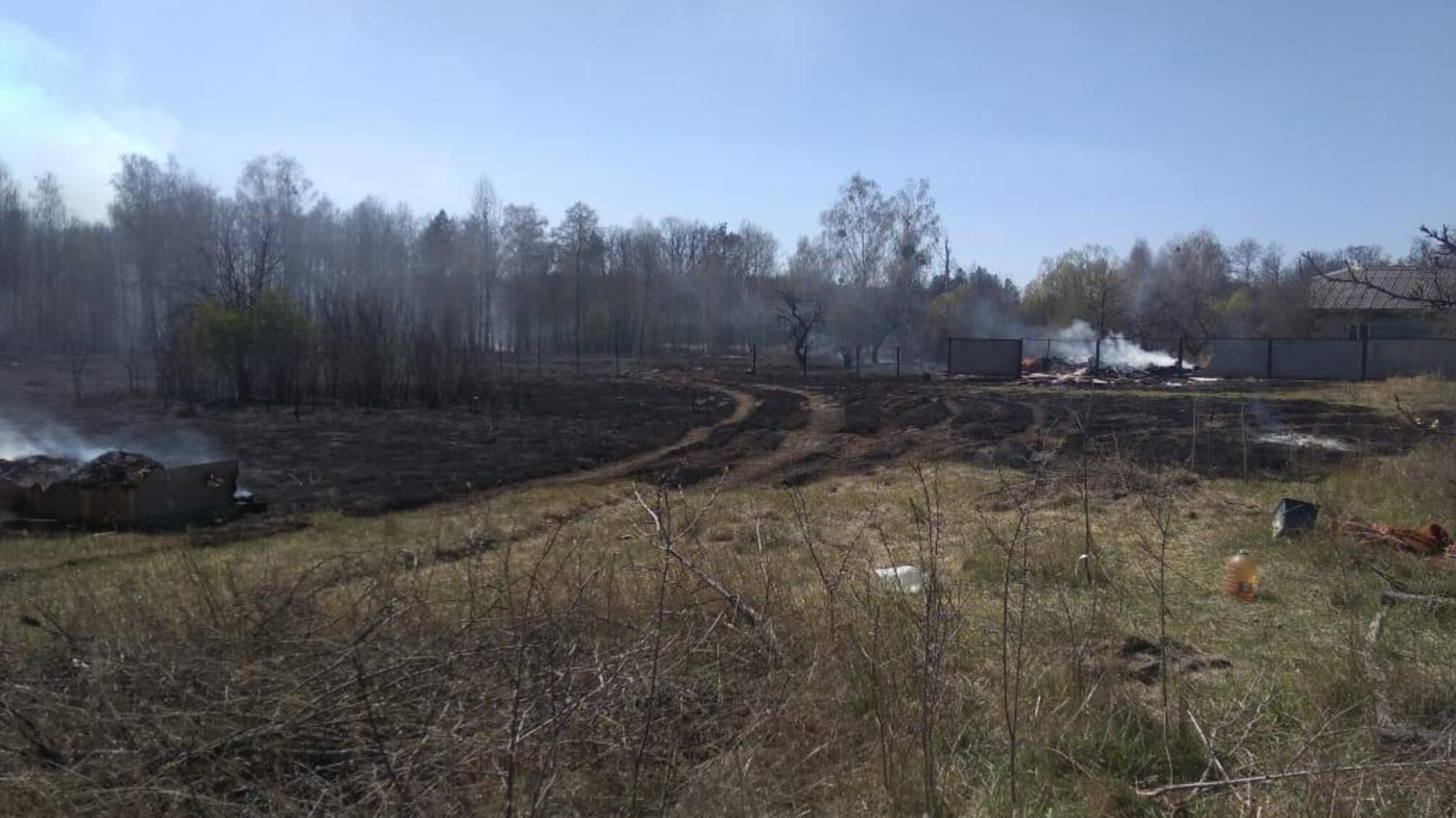 Поліція Київщини встановила чоловіка, причетного до масштабної пожежі на території області