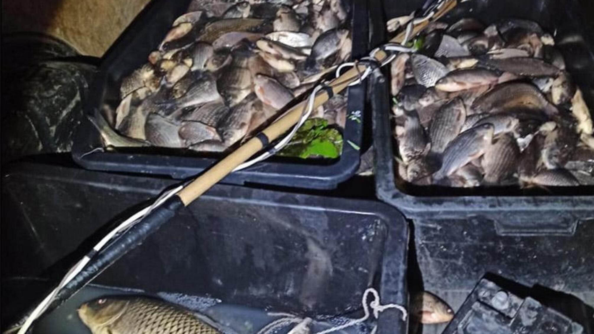 На Хмельниччині правоохоронці виявили браконьєра, який у період нересту електровудкою виловив 110 кг риби