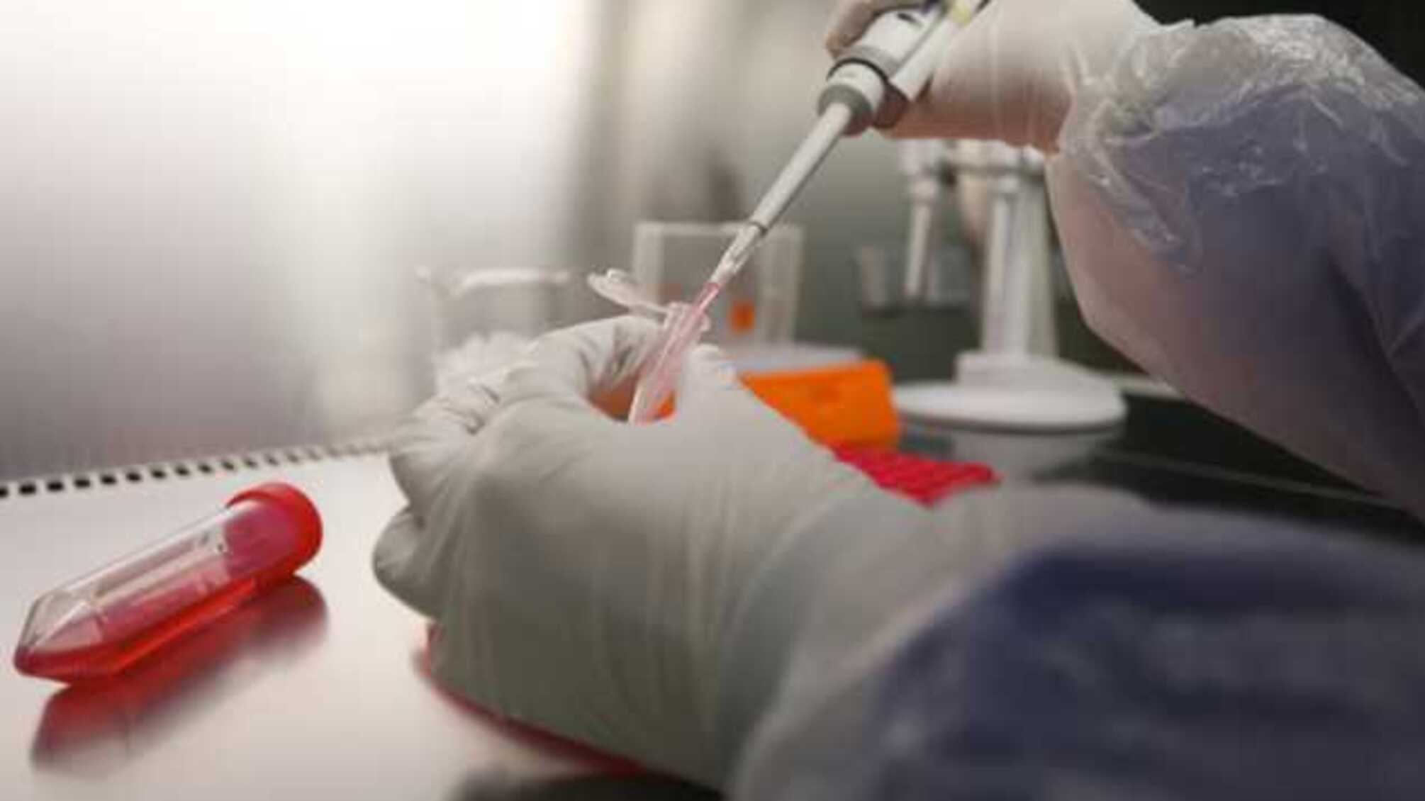 У світі вже понад 4 млн заражених на коронавірус