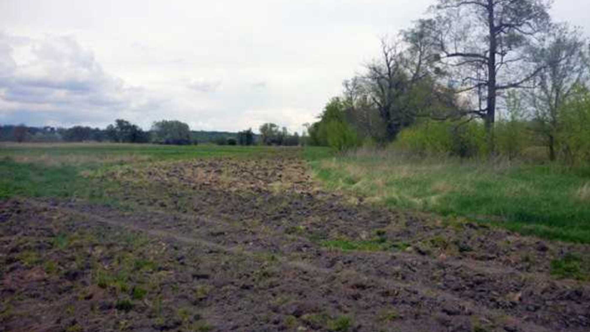 Украсть и распахать