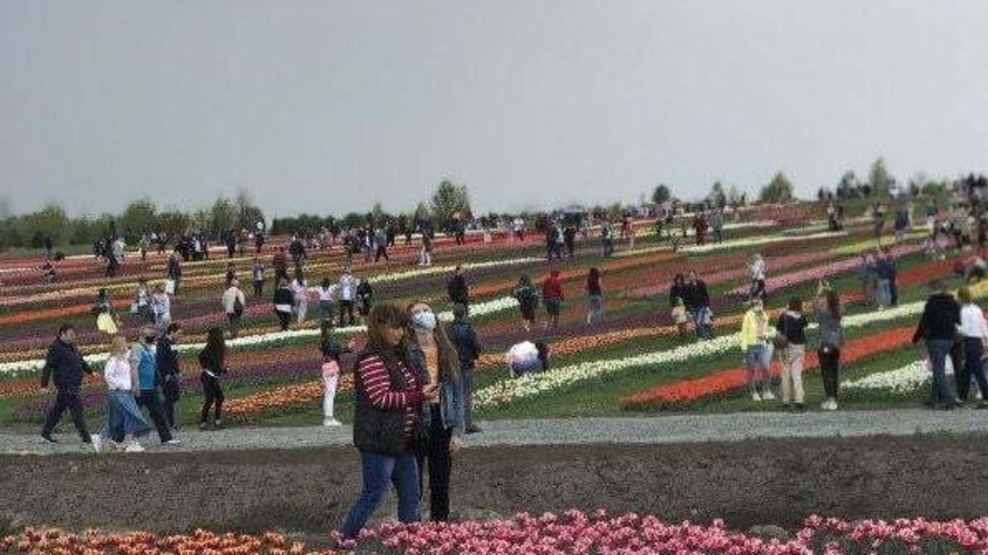 Despite the quarantine: Hundreds of people walked on weekends in Dobropark (photo)