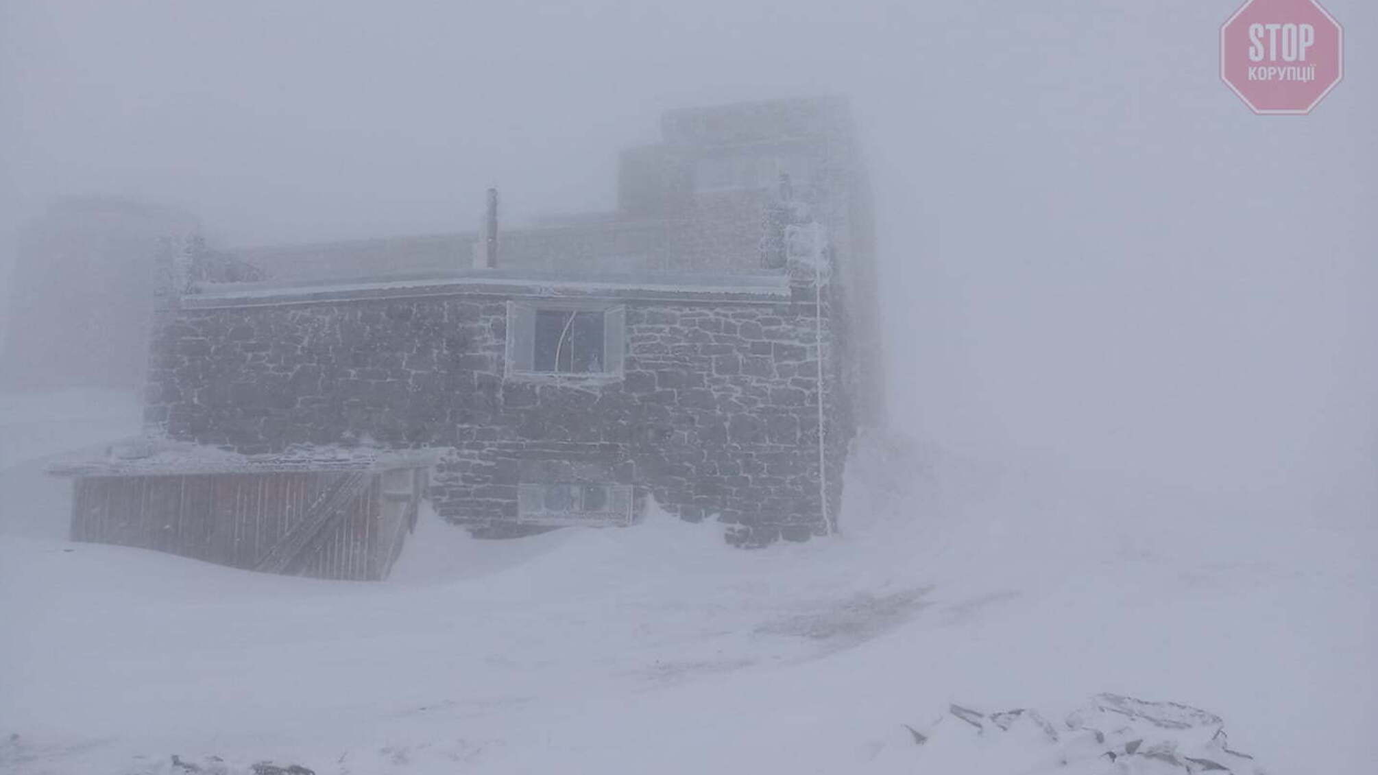 Зима повертається: Карпати замело снігом (фото)