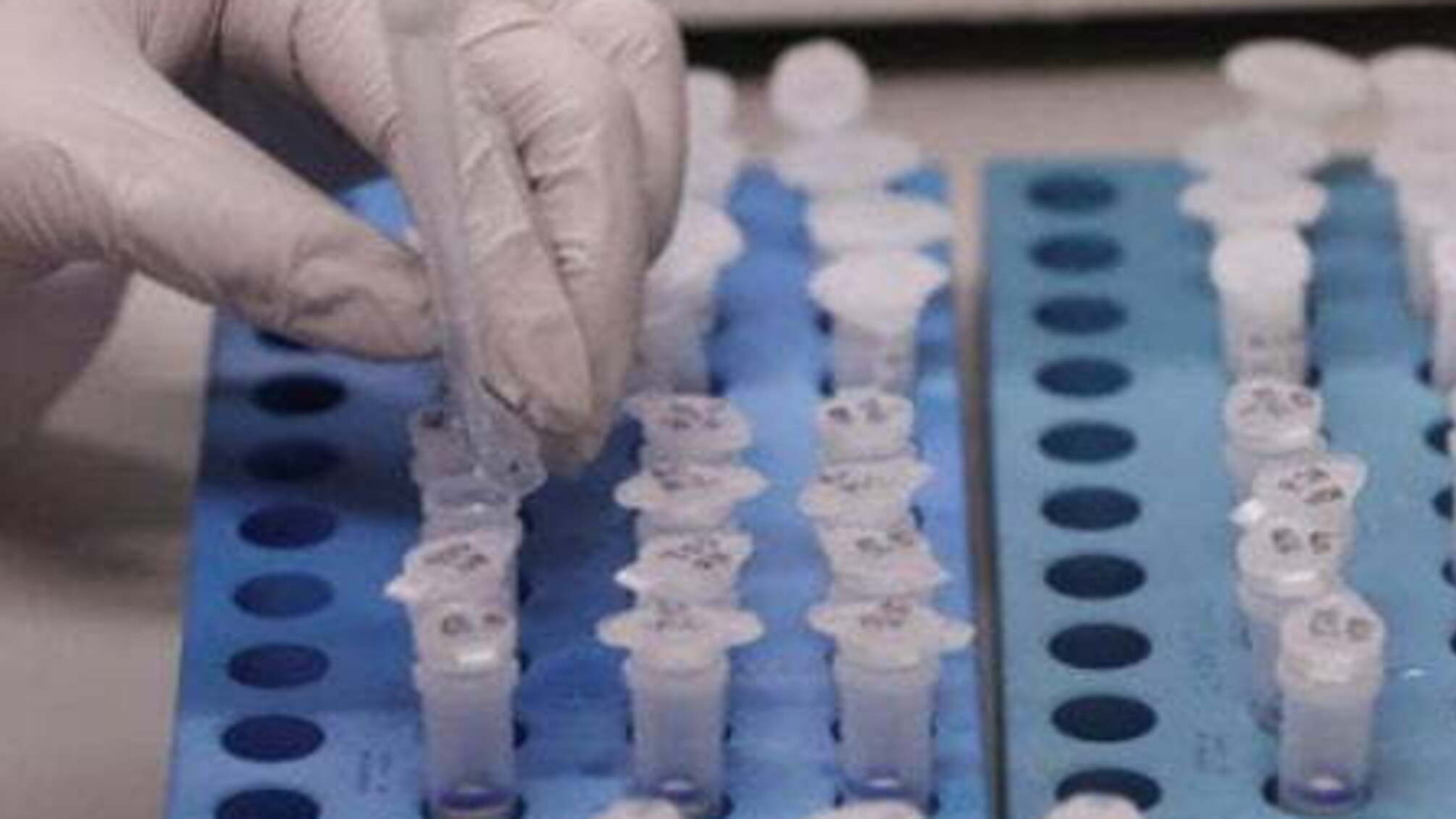 З'явилися моторошні дані щодо смертності від коронавірусу в Італії