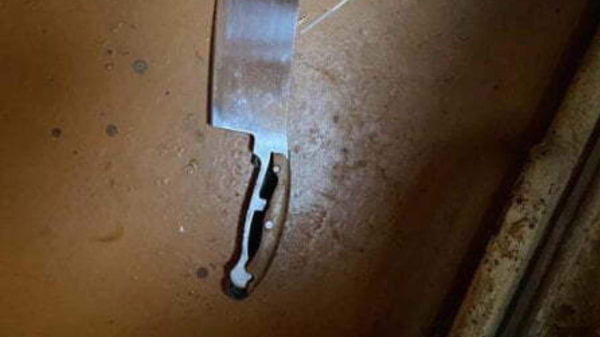 Відрізав голову і випатрав: із жінкою по-звірячому розправився 38-річний син