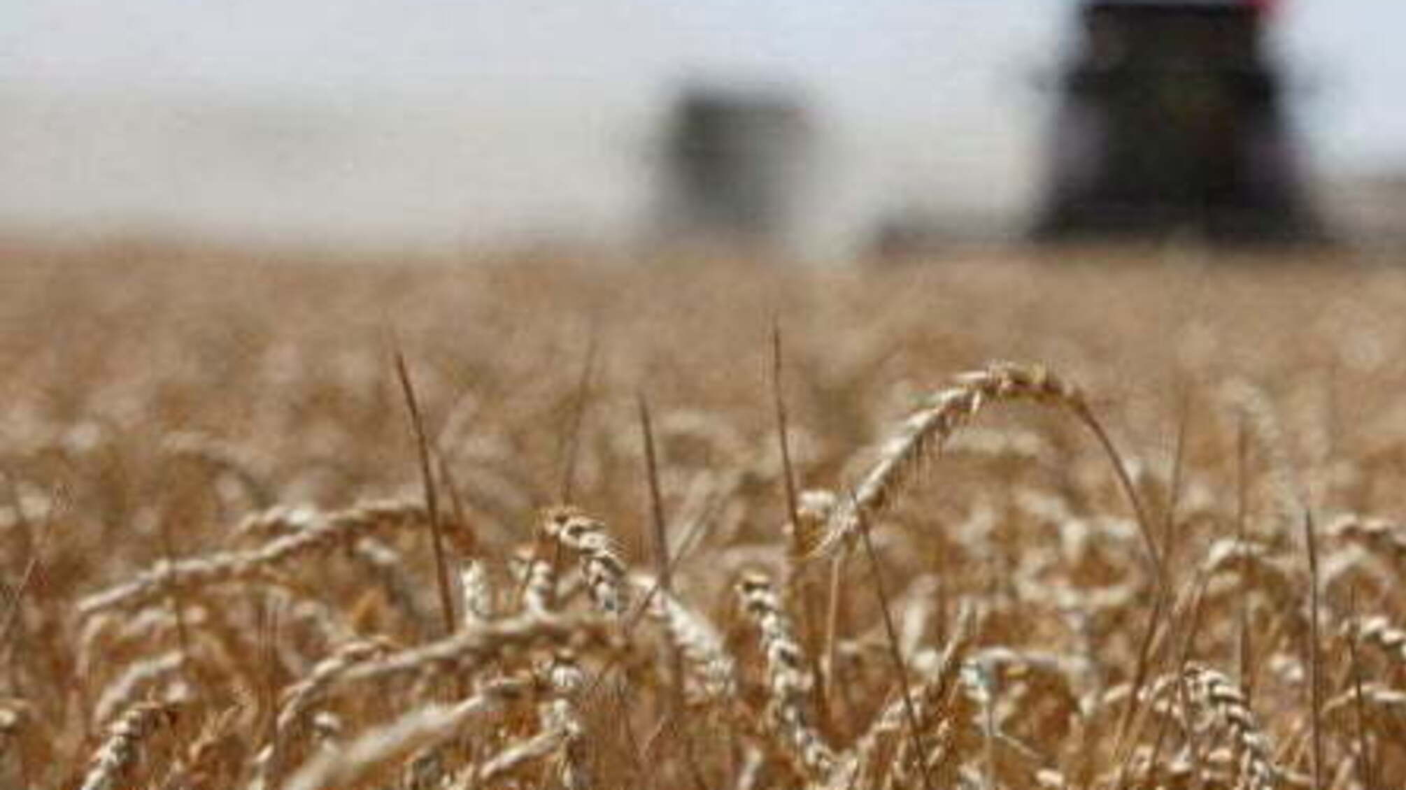 Одеським аграріям частково відшкодують майбутні збитки від посухи