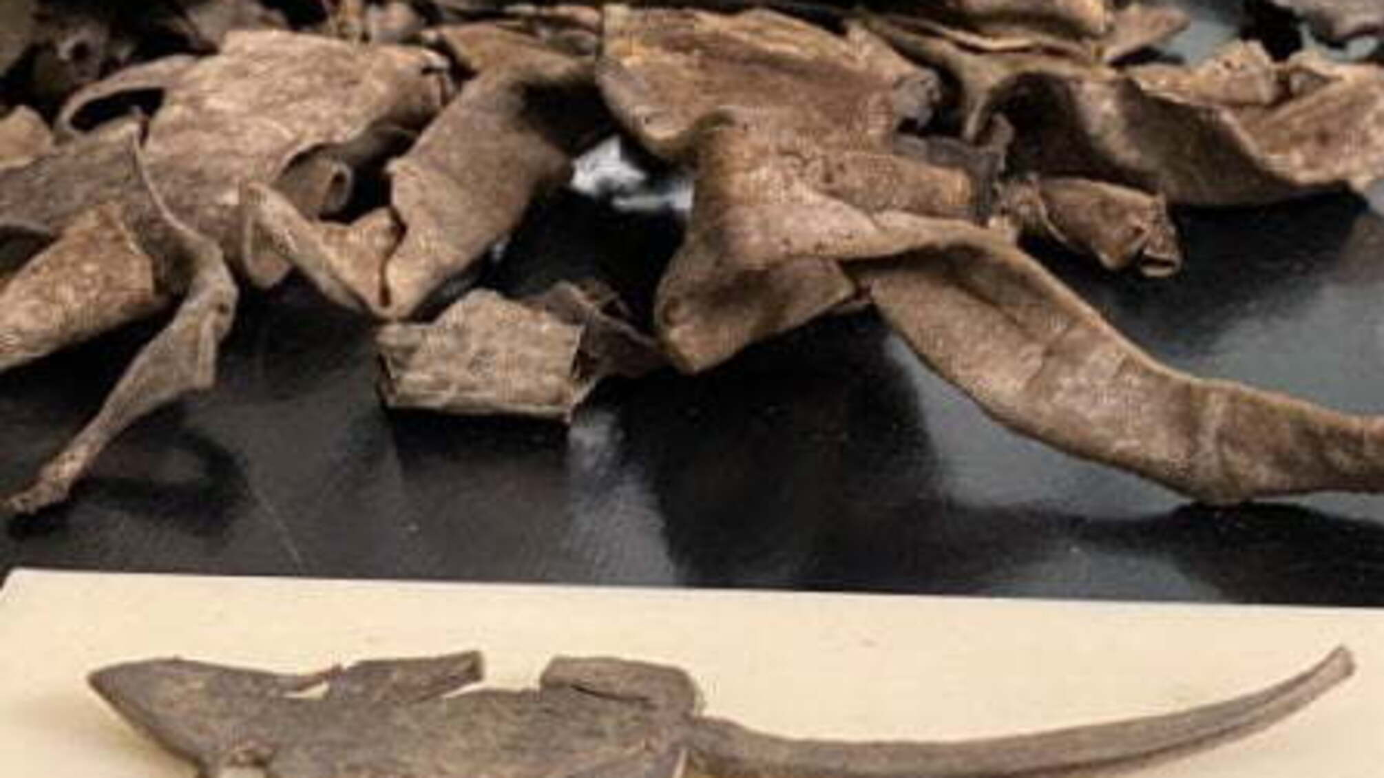 Серед купи мотлоху знайшли давньоримську іграшку