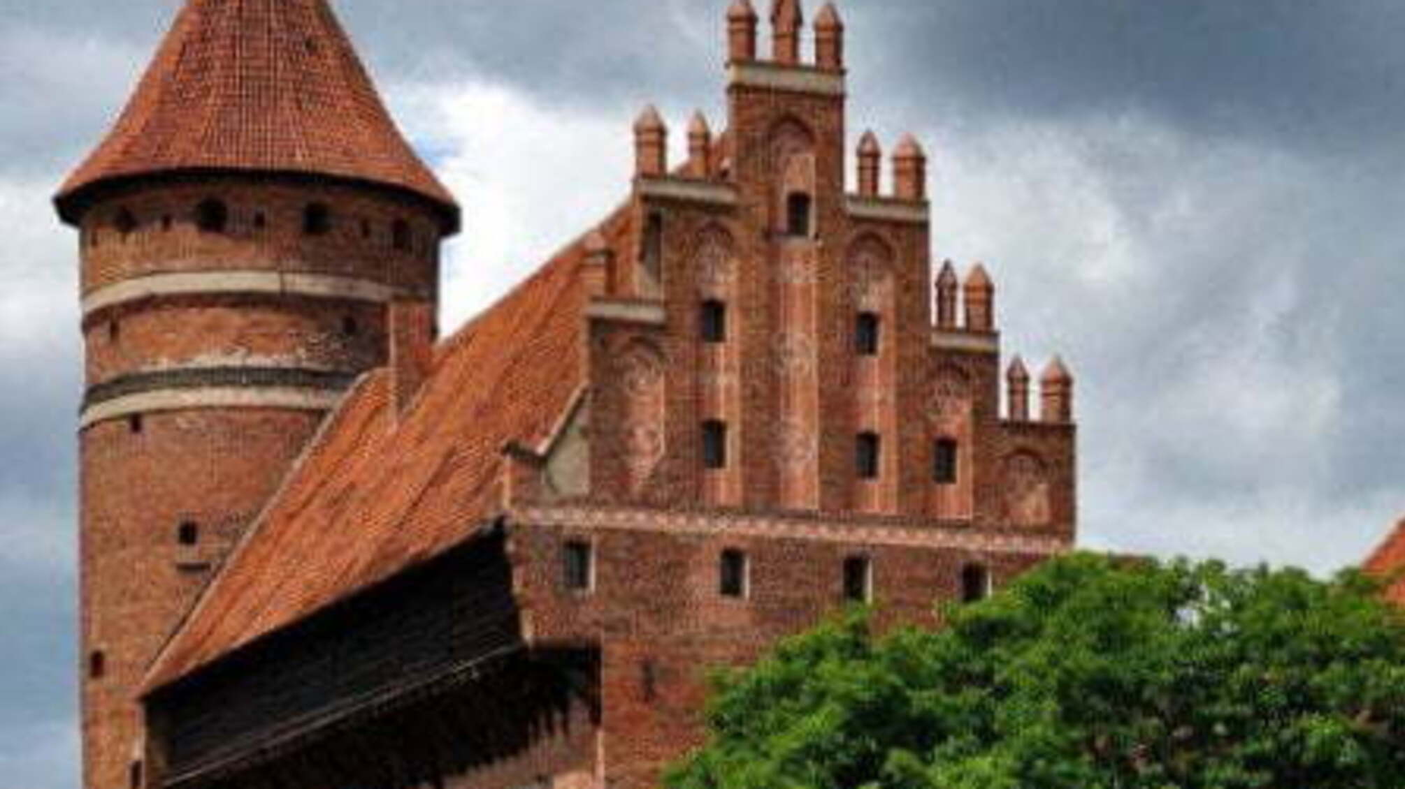 Знайшли останки Миколая Коперника