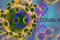 У світі новий рекорд добових інфікувань на коронавірус