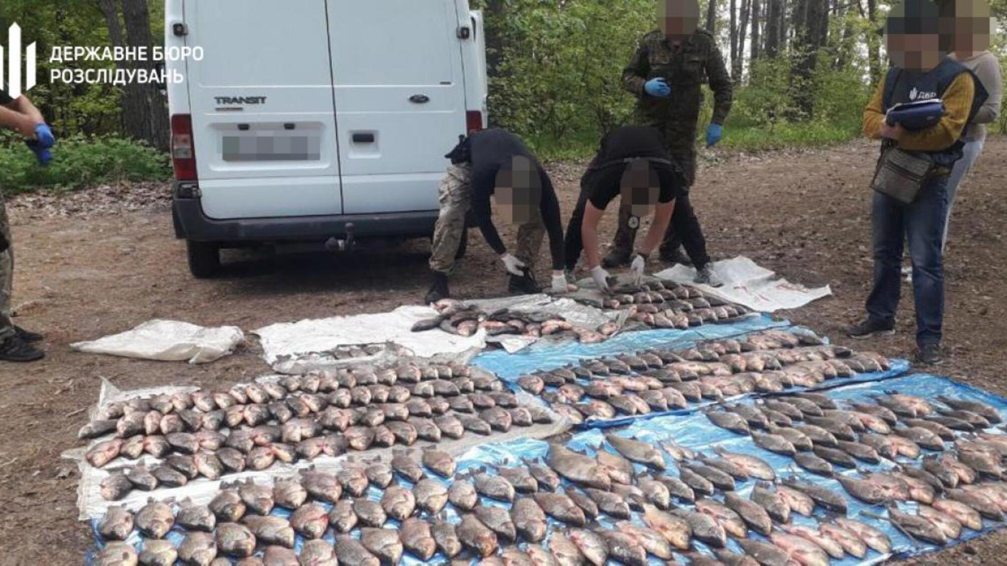 Незаконний вилов риби на території заповідника – ДБР викрило інспектора з охорони природно-заповідного фонду