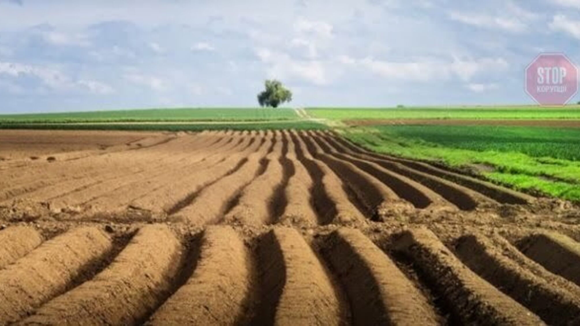 На Херсонщині депутат підозрюється у рейдерстві підприємства