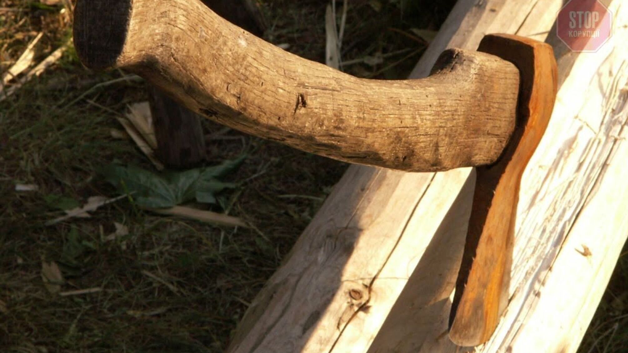 На Львівщині правоохоронці затримали зловмисника, який вдарив обухом сокири по голові чоловіка