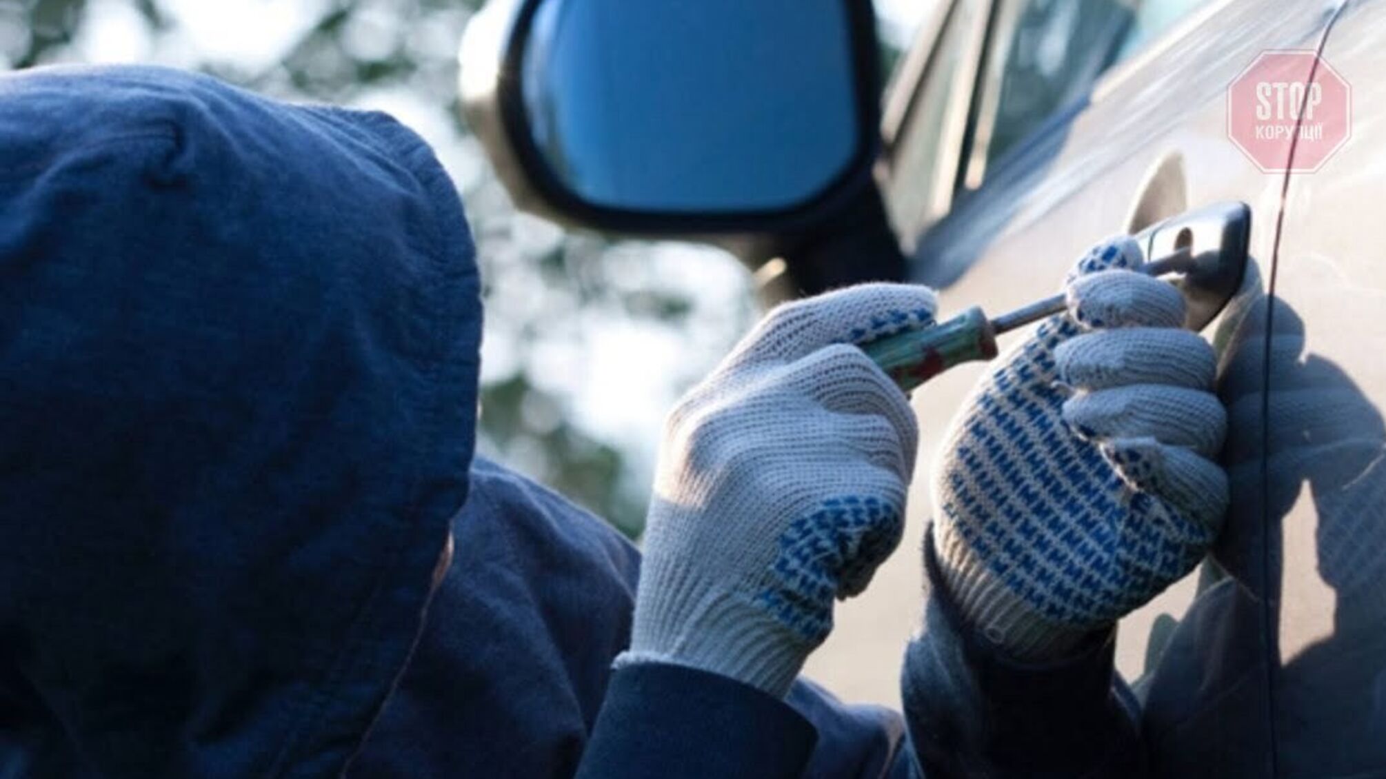 На Тернопільщині правоохоронці впіймали автозлодія