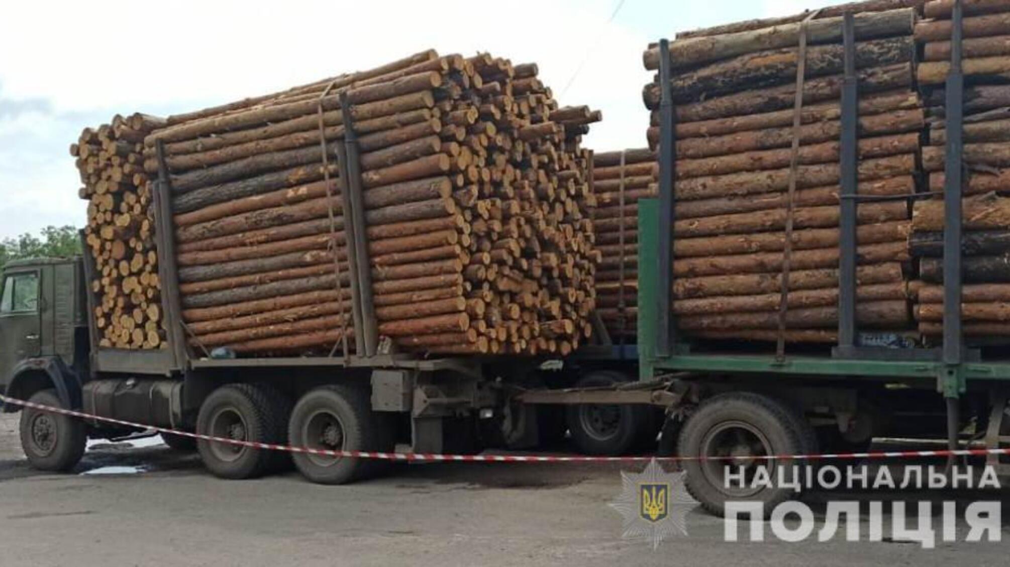 На Харківщині поліцейські виявили кілька фактів незаконного перевезення деревини