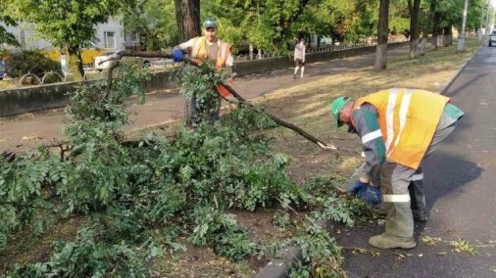 Негода у Маріуполі: повалені дерева, зупинився електротранспорт